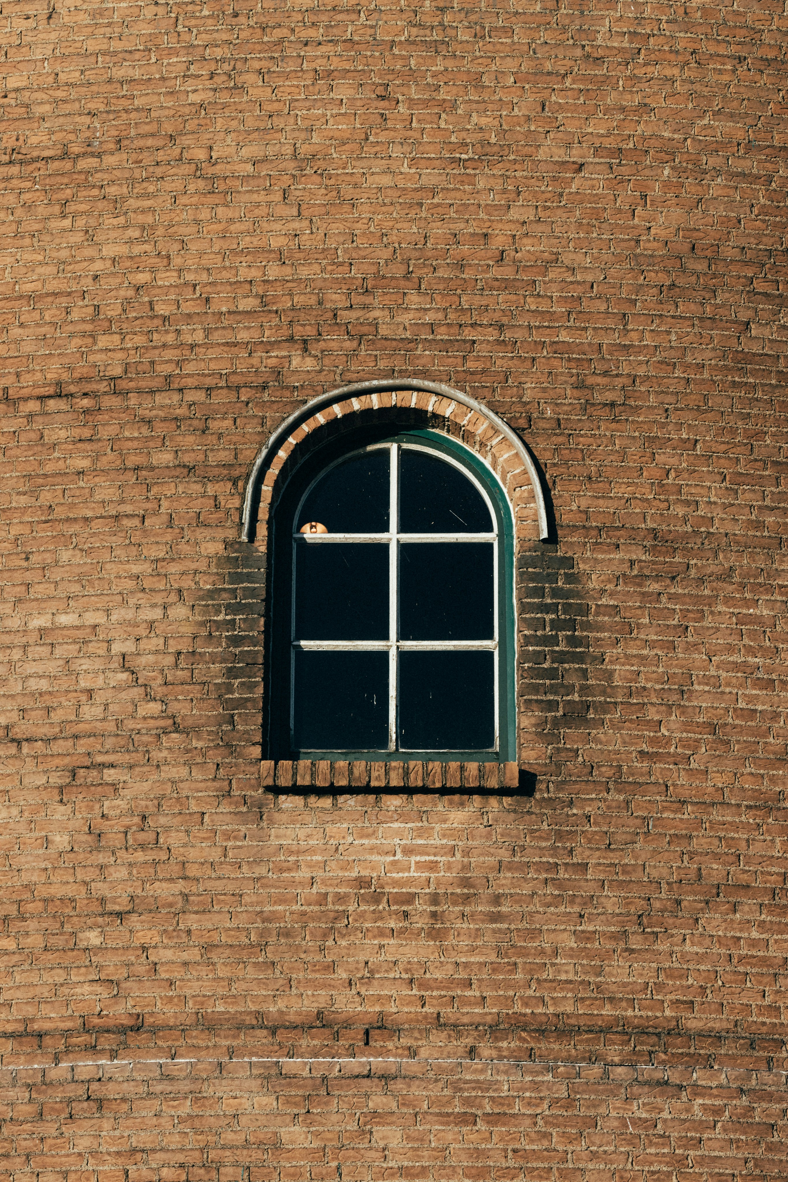 Photo by tsuyoshikozu