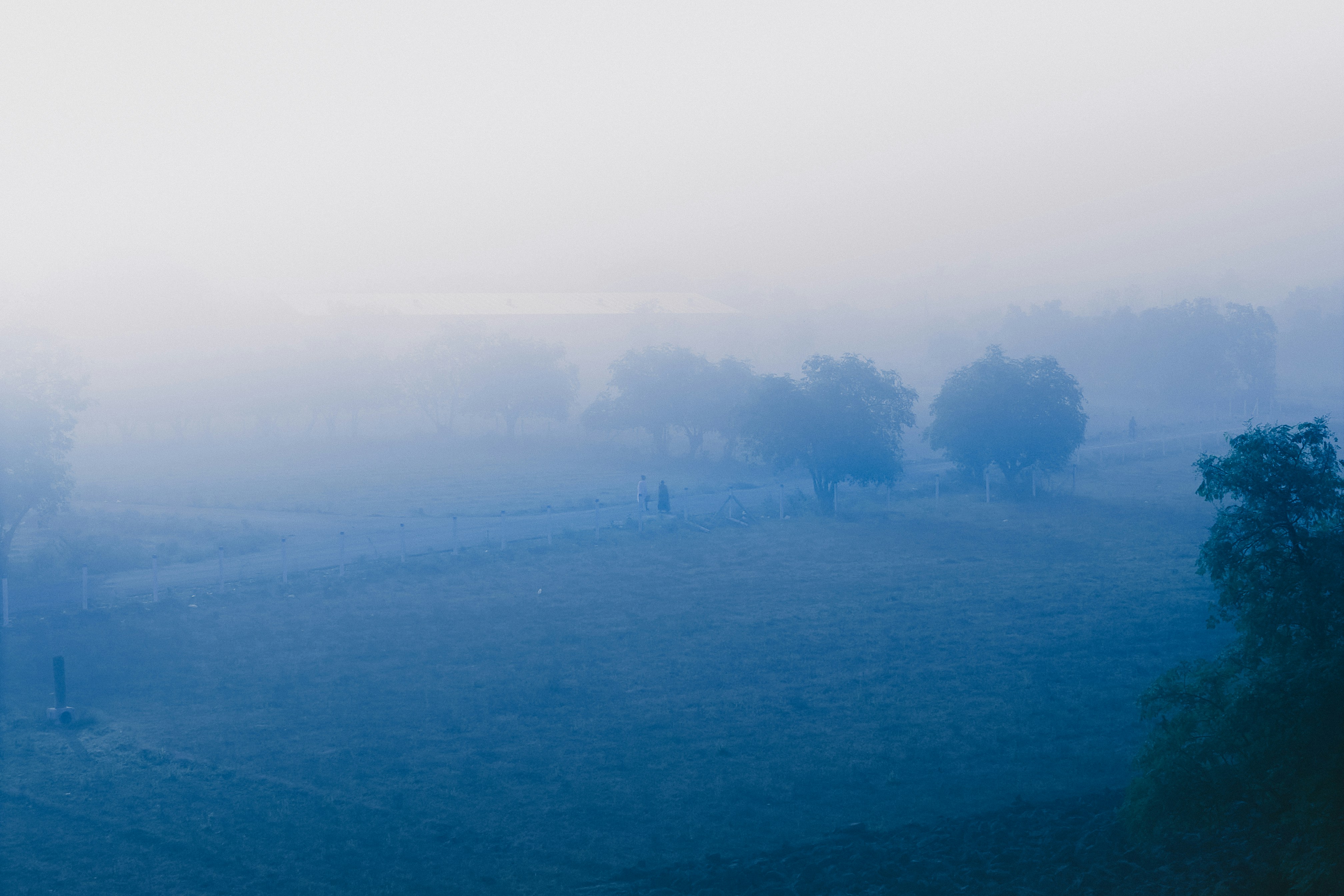 Photo by milindbedwa