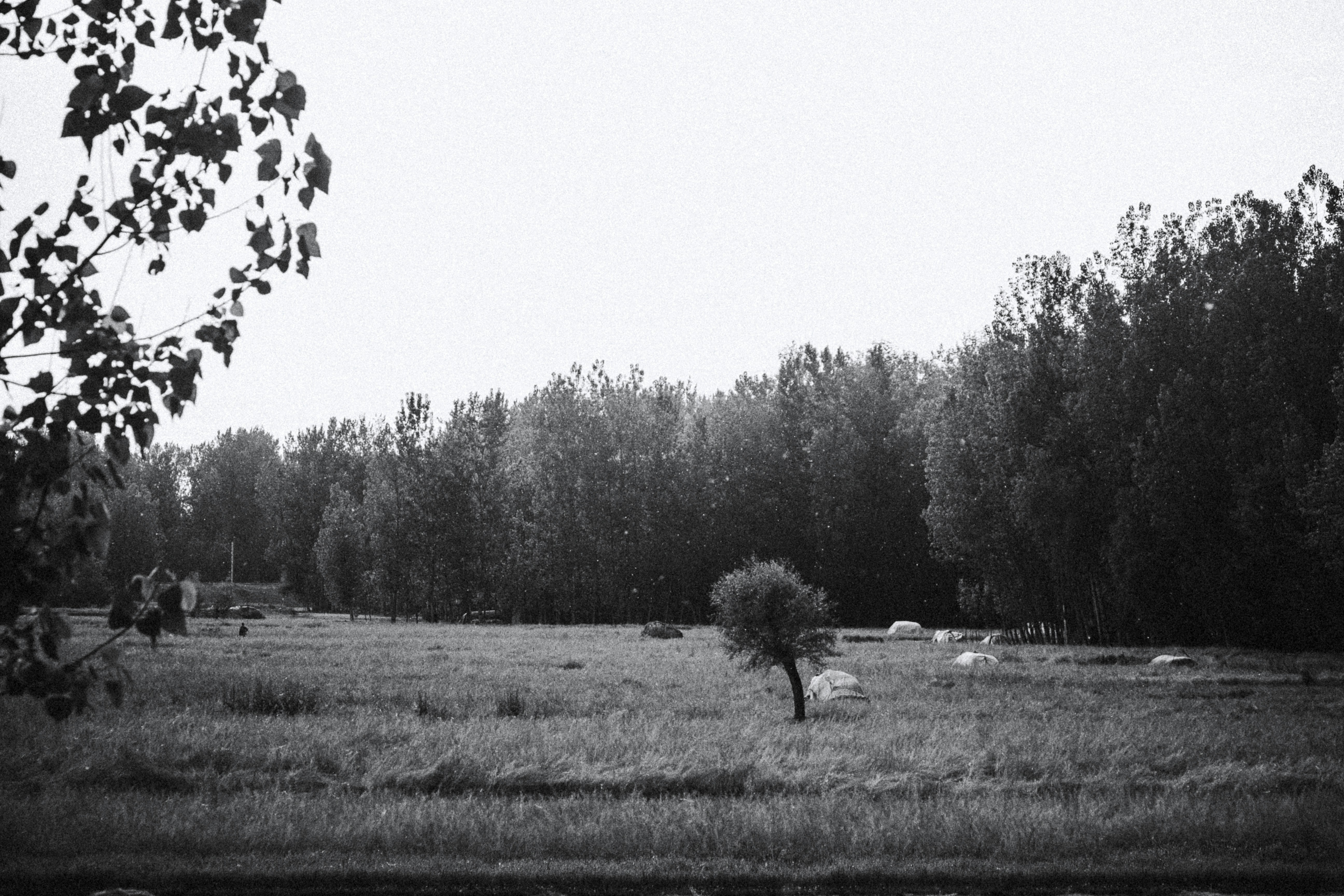 Photo by milindbedwa