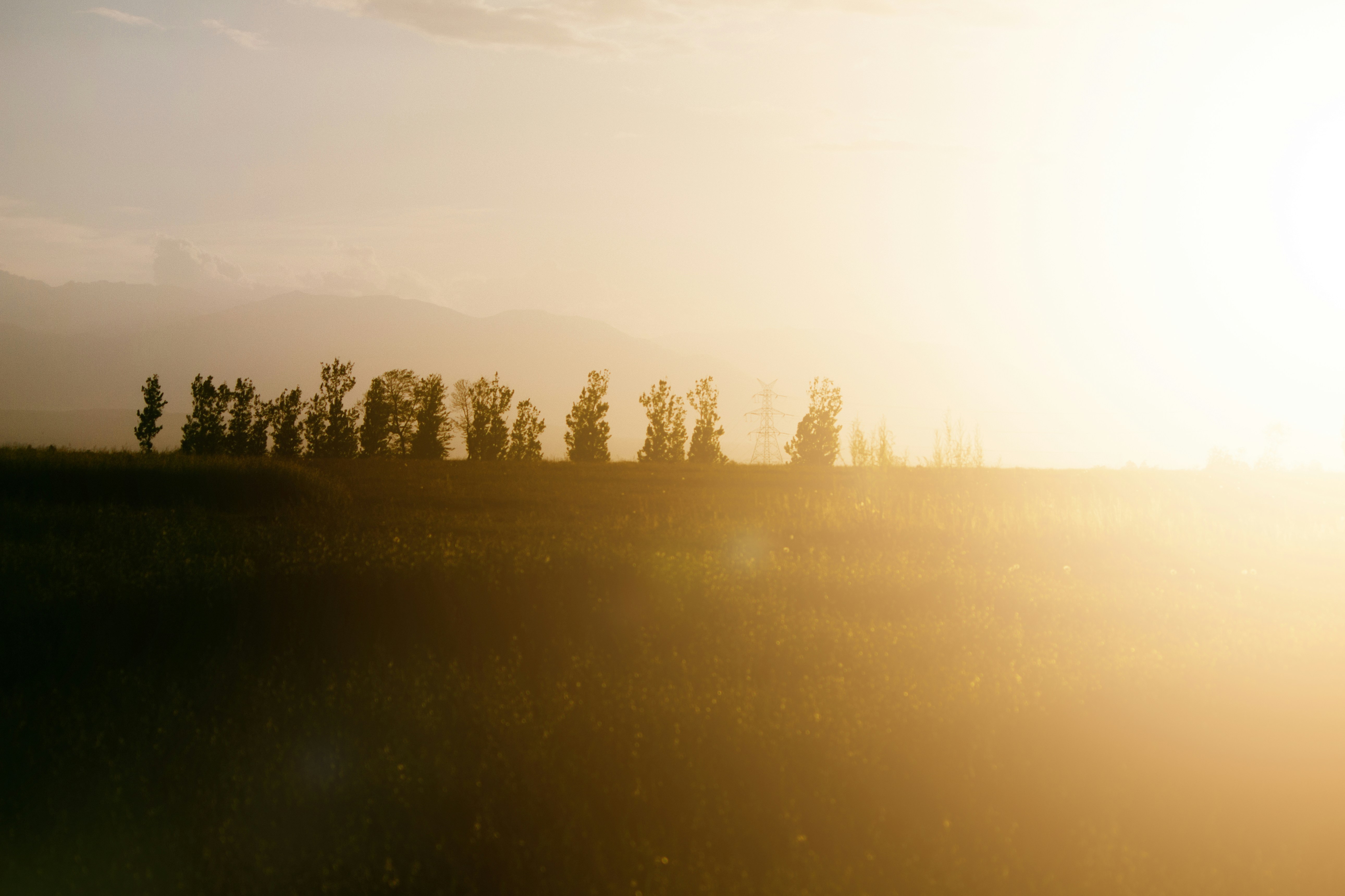 Photo by milindbedwa