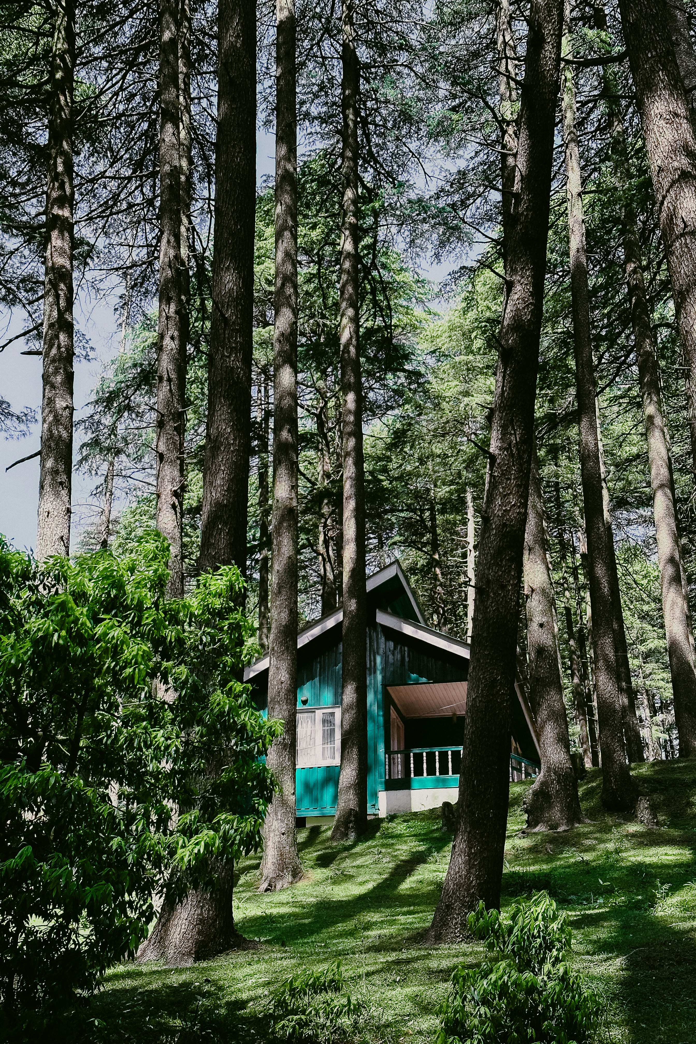 Photo by milindbedwa