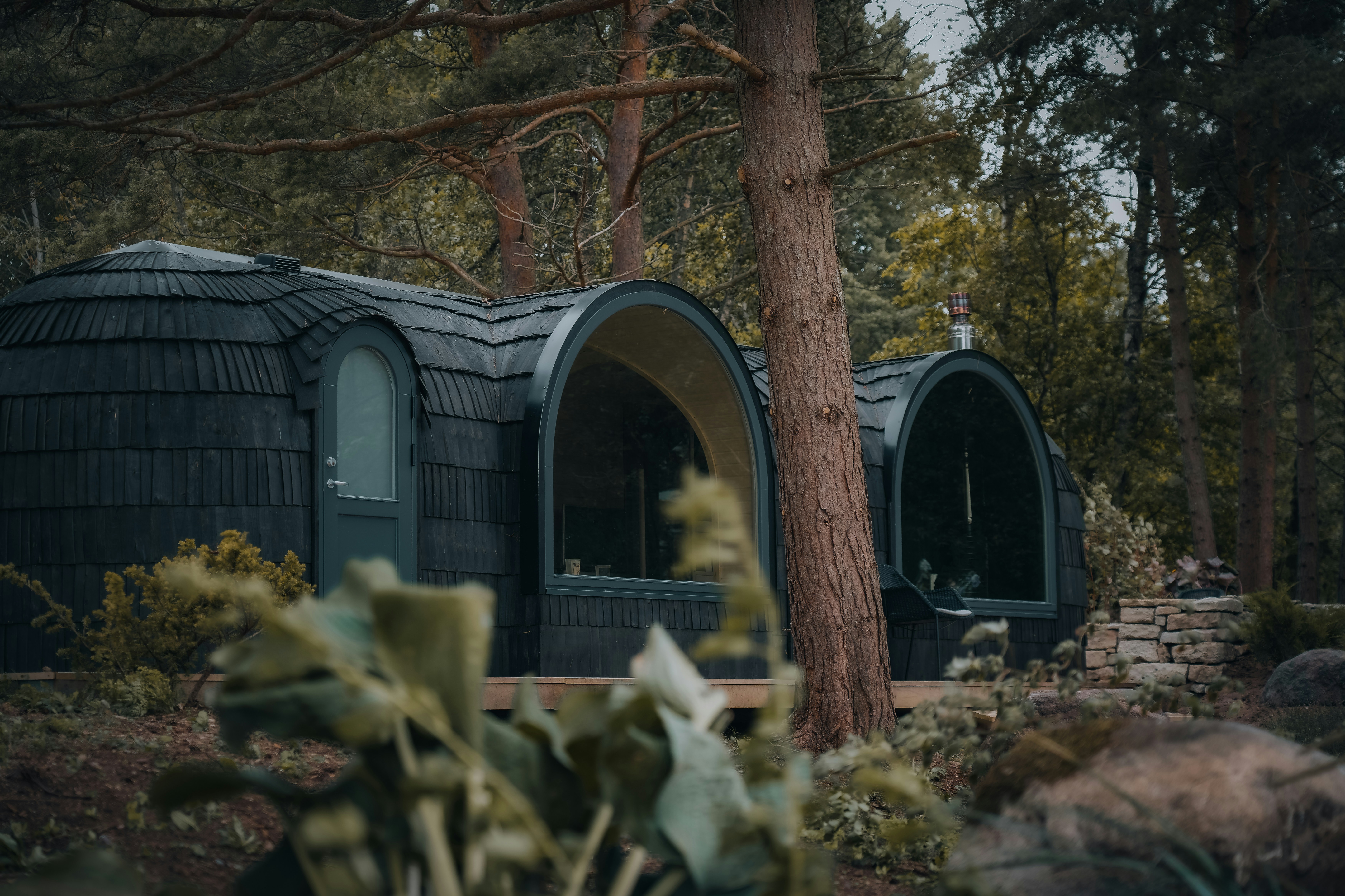 A couple of small houses in the woods