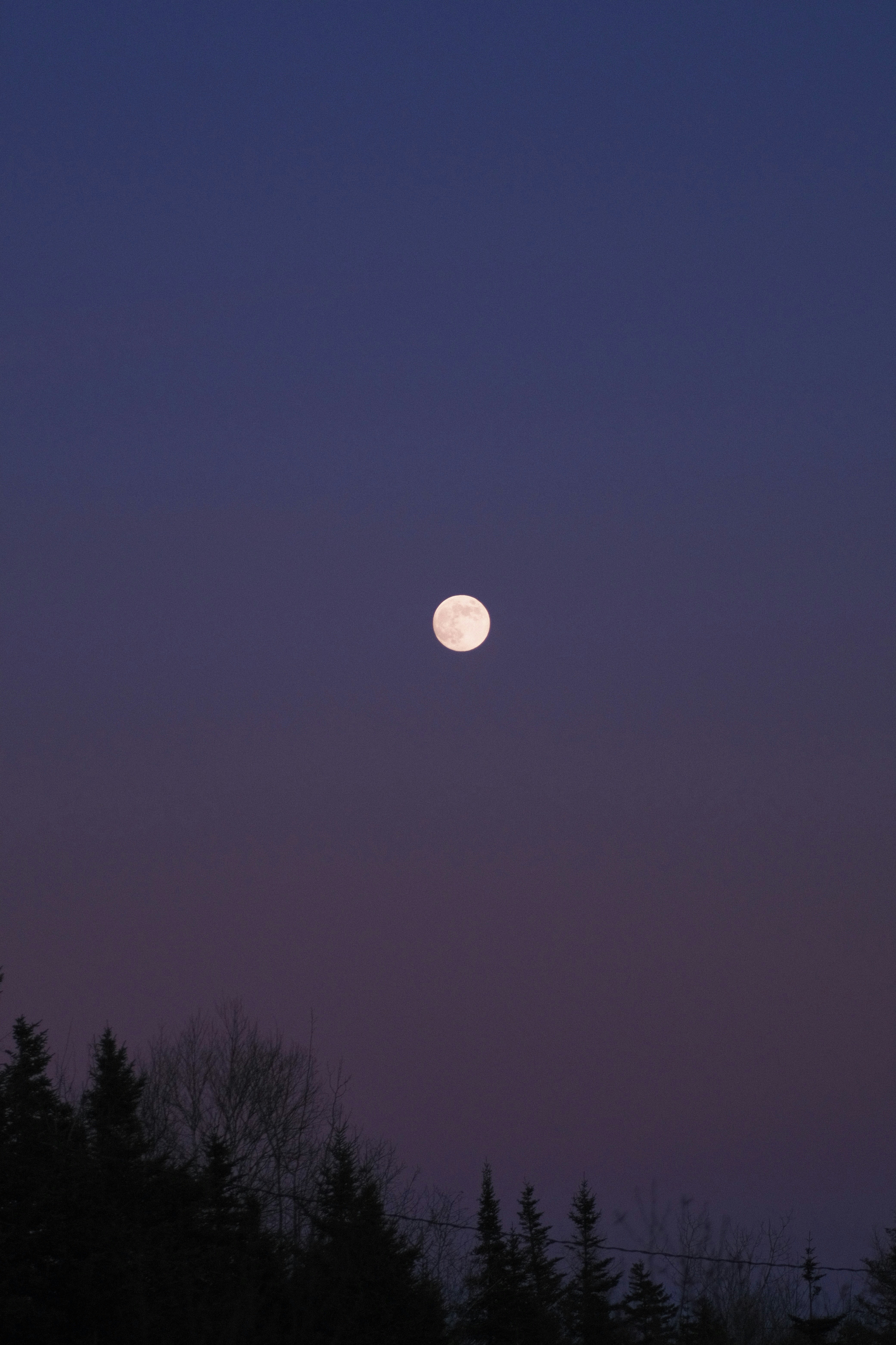 Photo by officialusmanqureshi