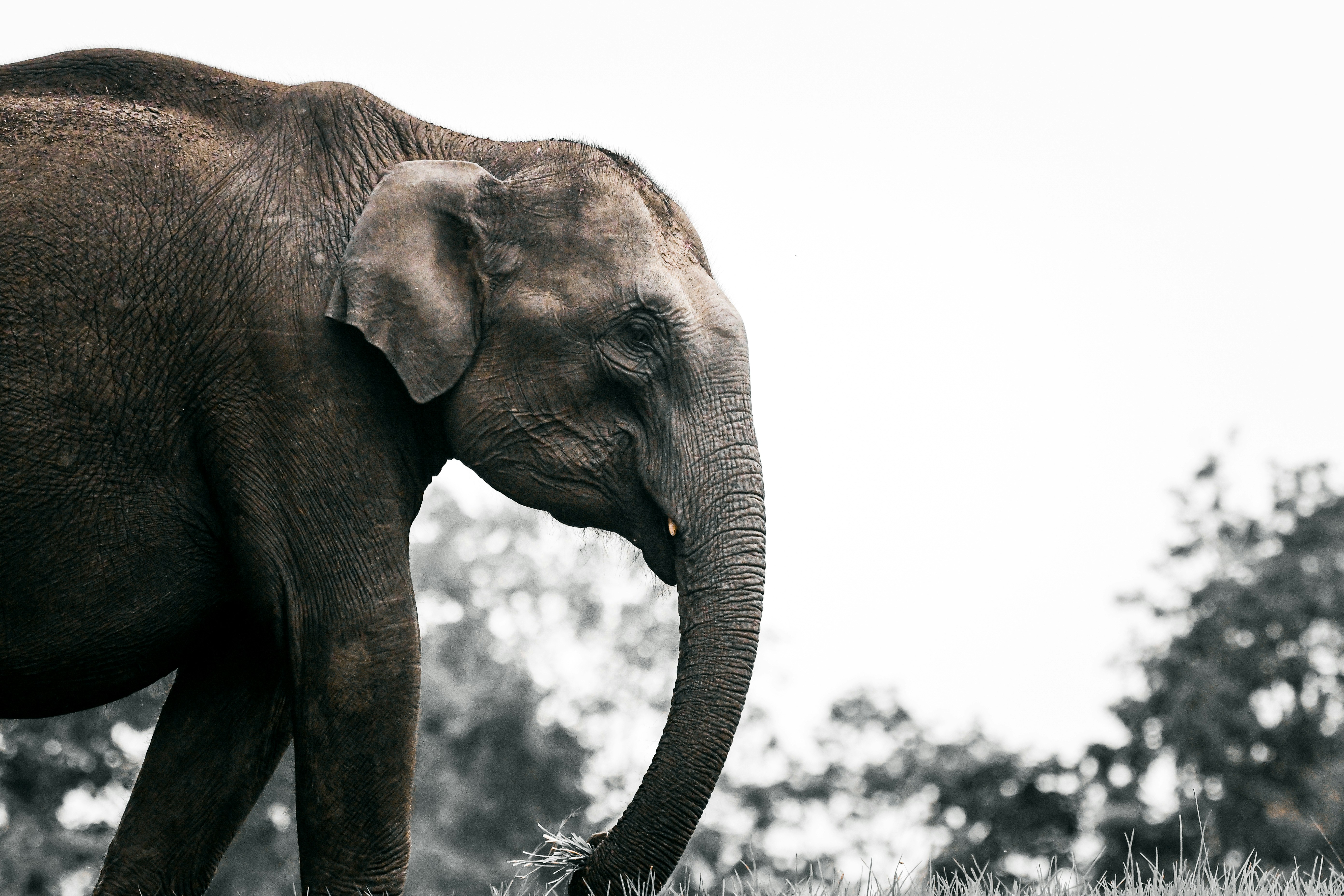 Bandipur – Day Trips & Surroundings