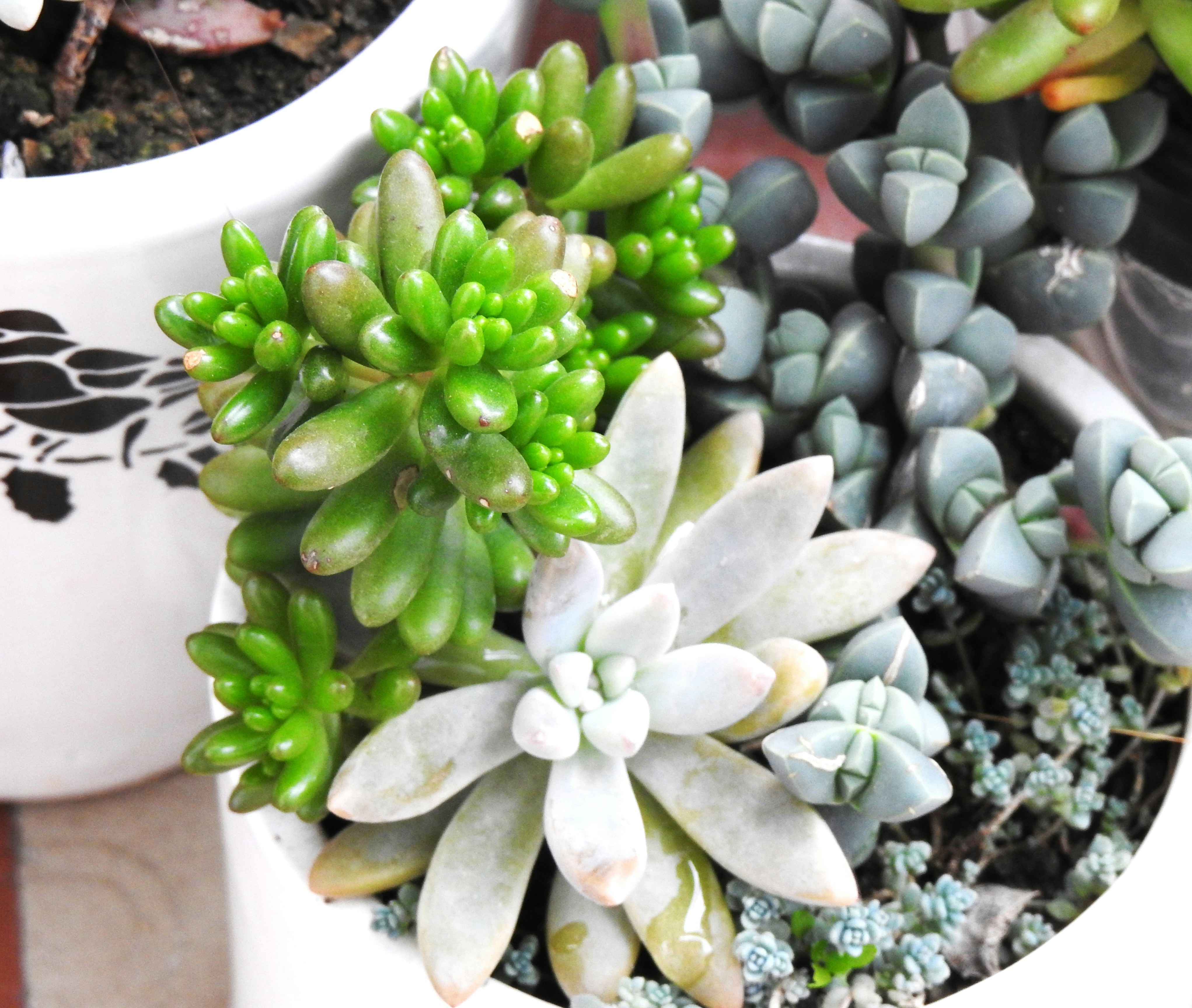 Photo by aditipanatu95