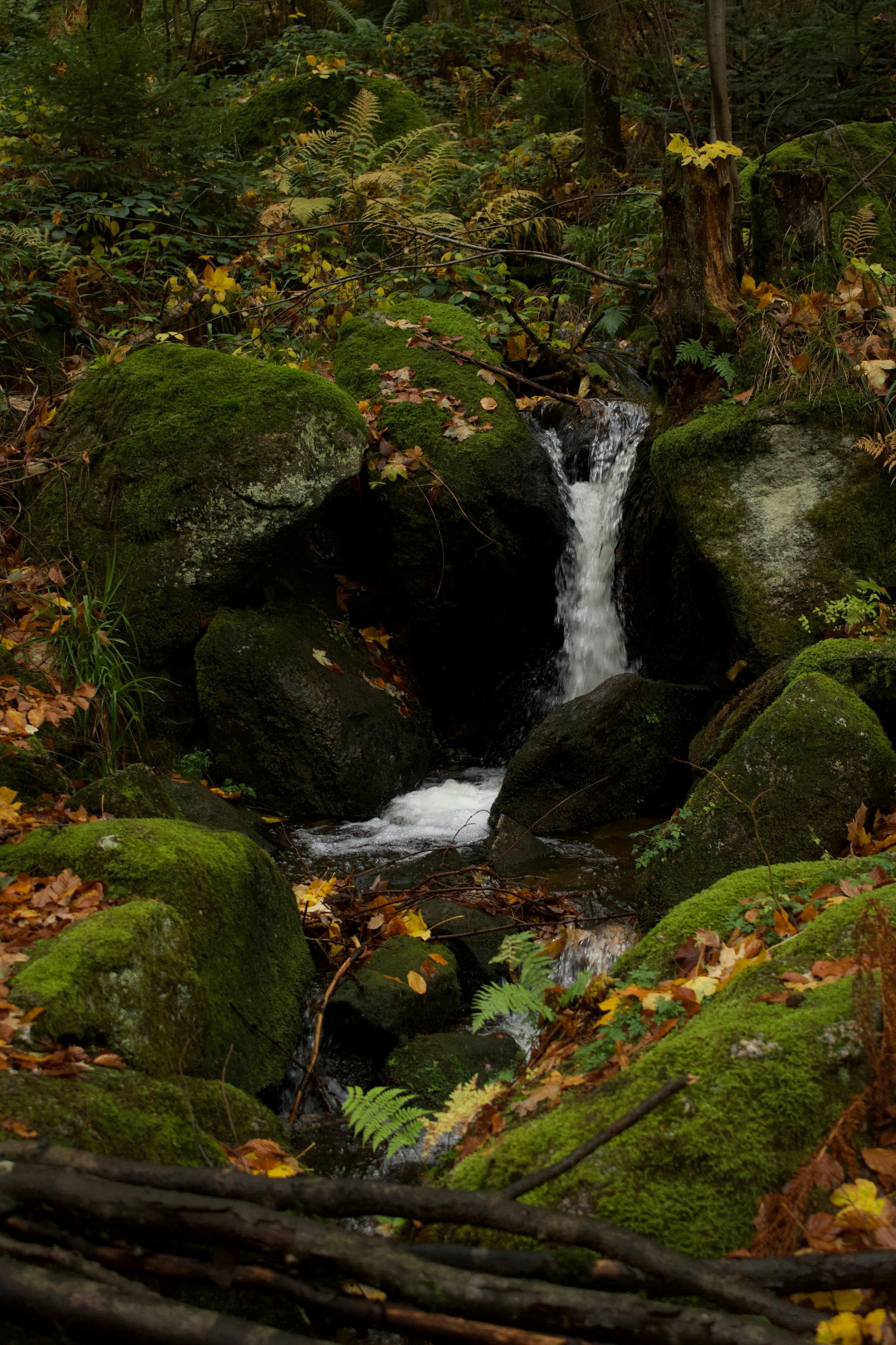 Photo by mihaelstojcevic