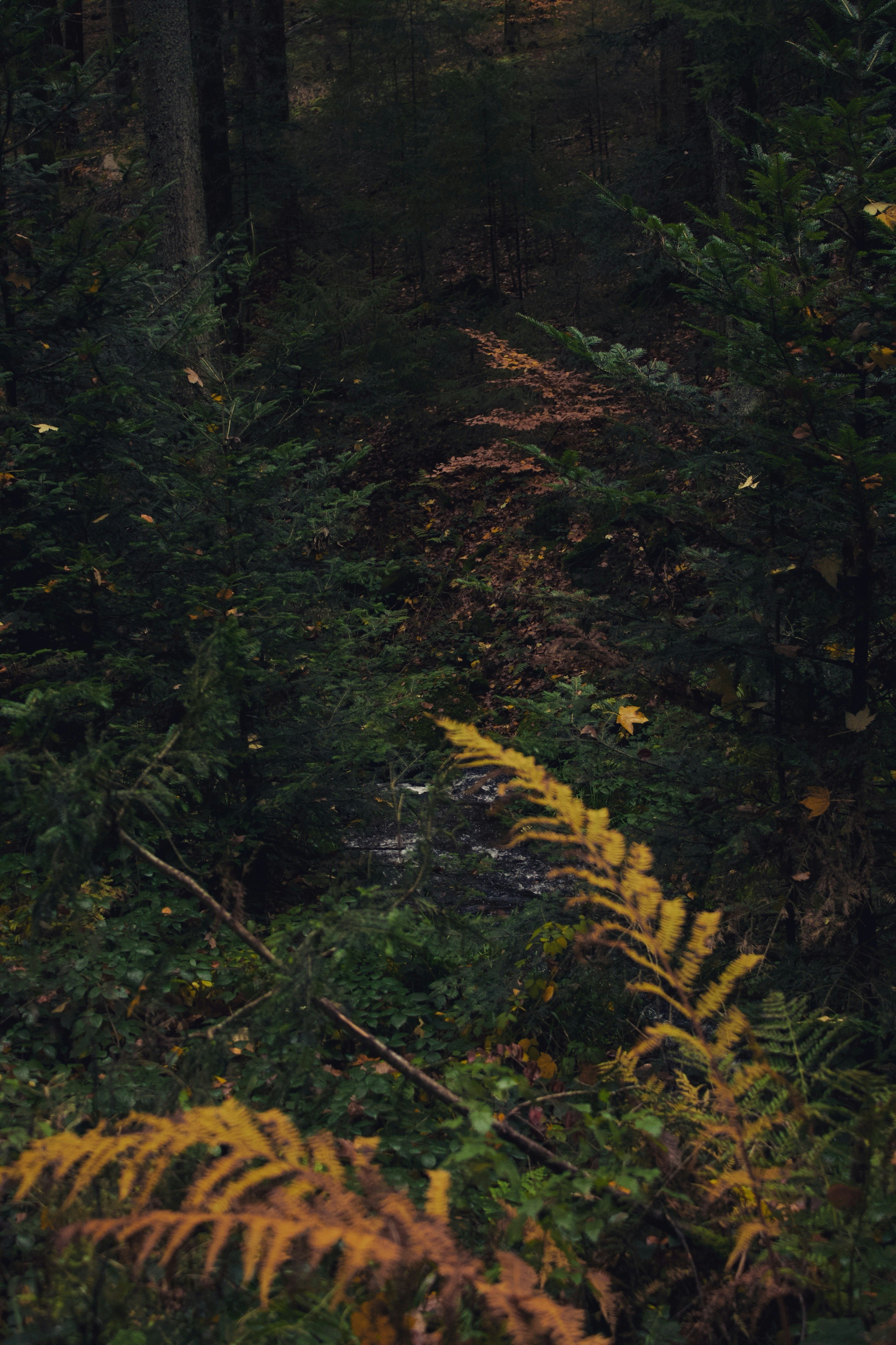 Photo by mihaelstojcevic