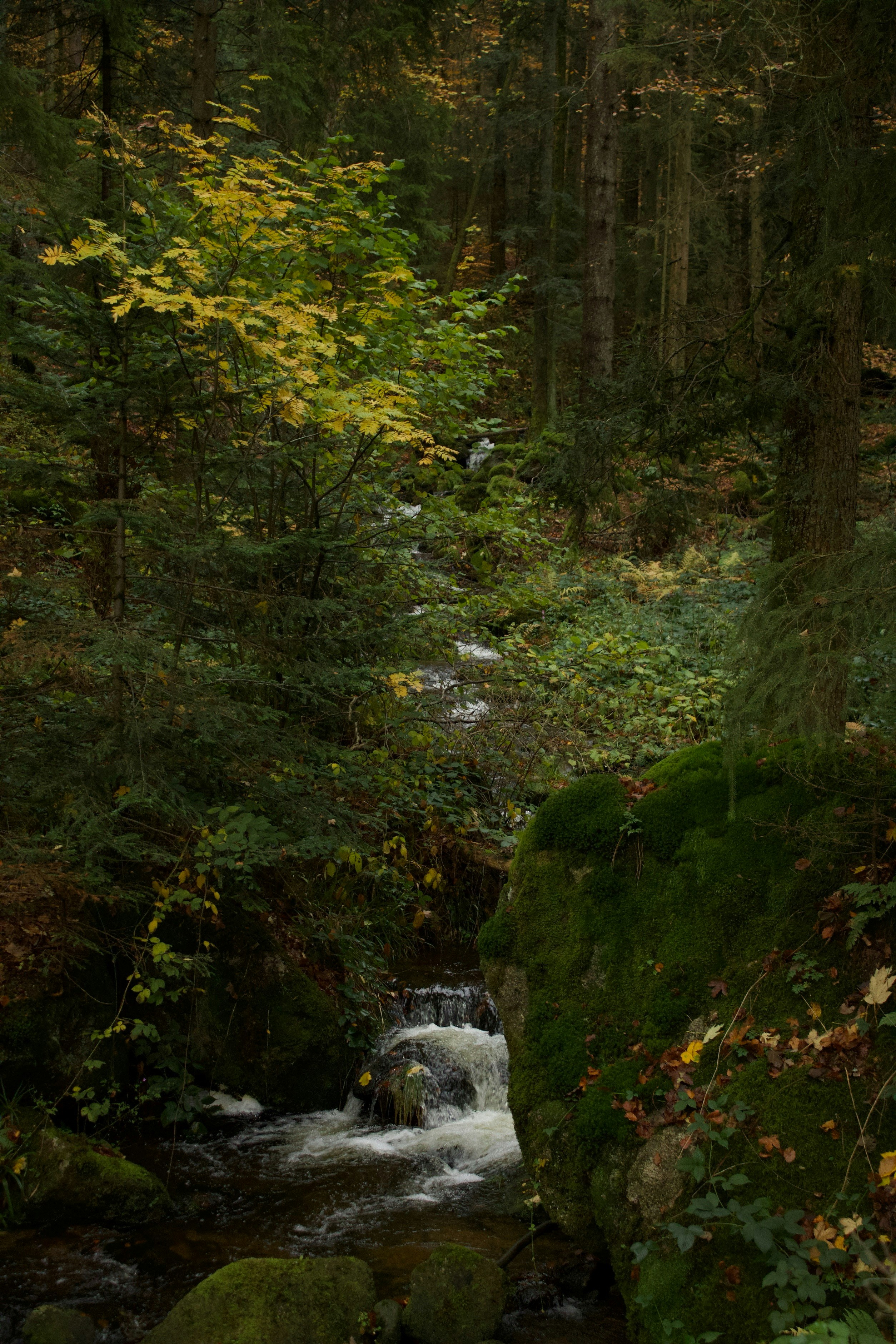 Photo by mihaelstojcevic