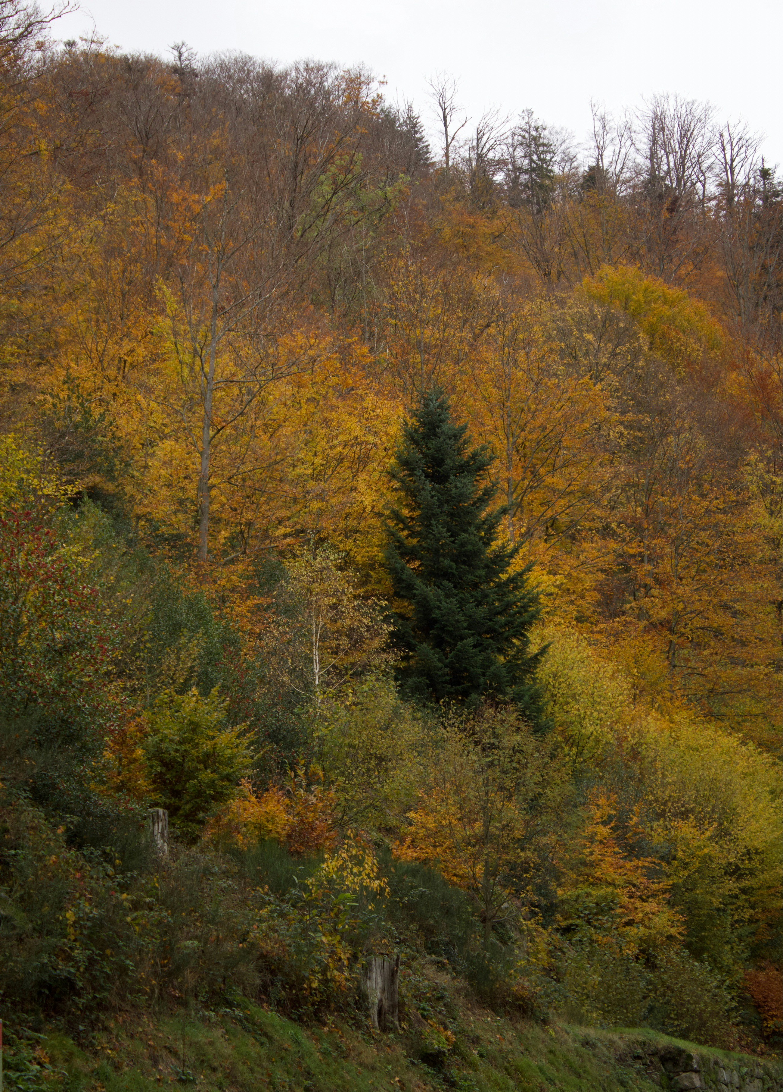 Photo by mihaelstojcevic