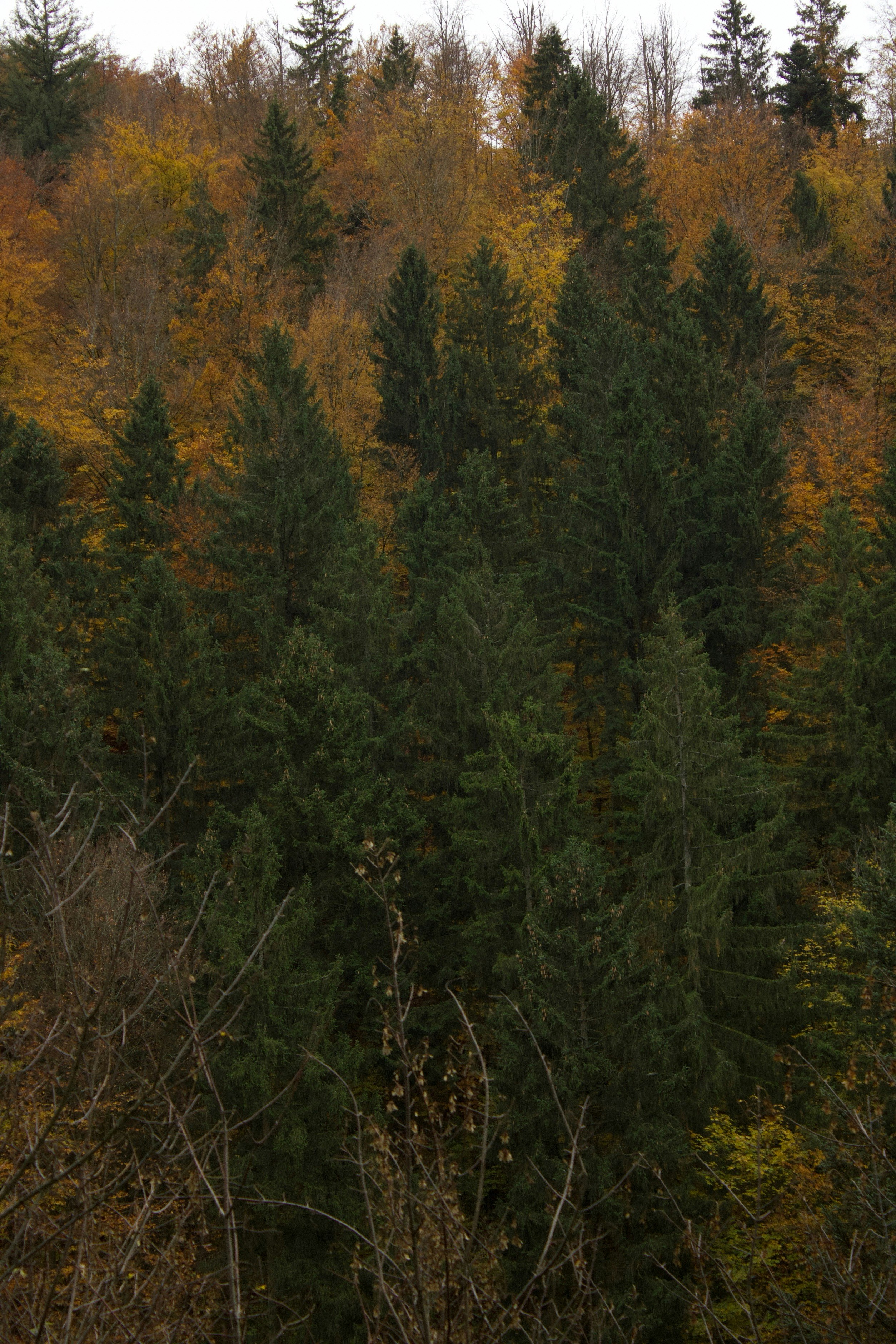 Photo by mihaelstojcevic