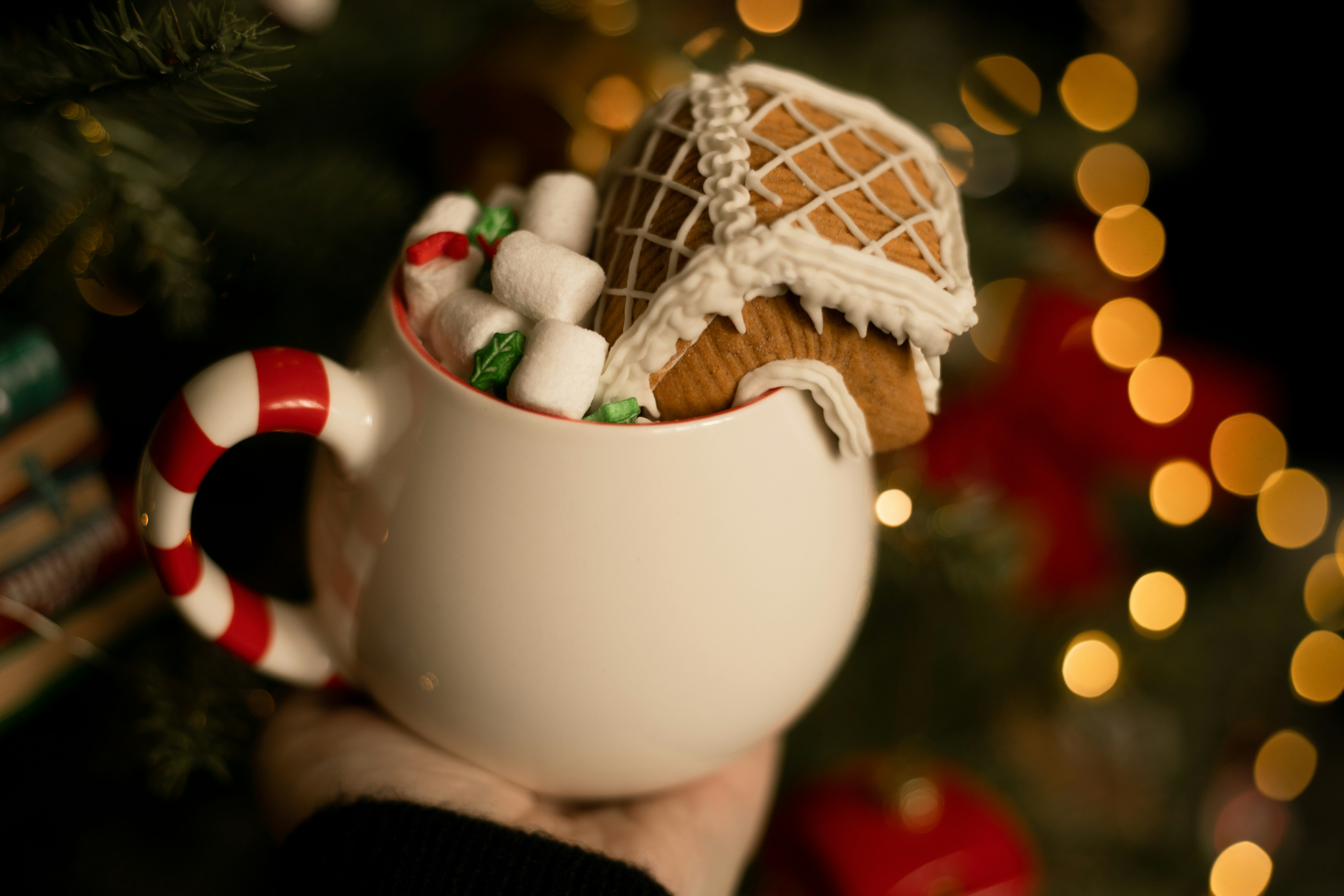 A person holding a mug with a gingerbread house in it