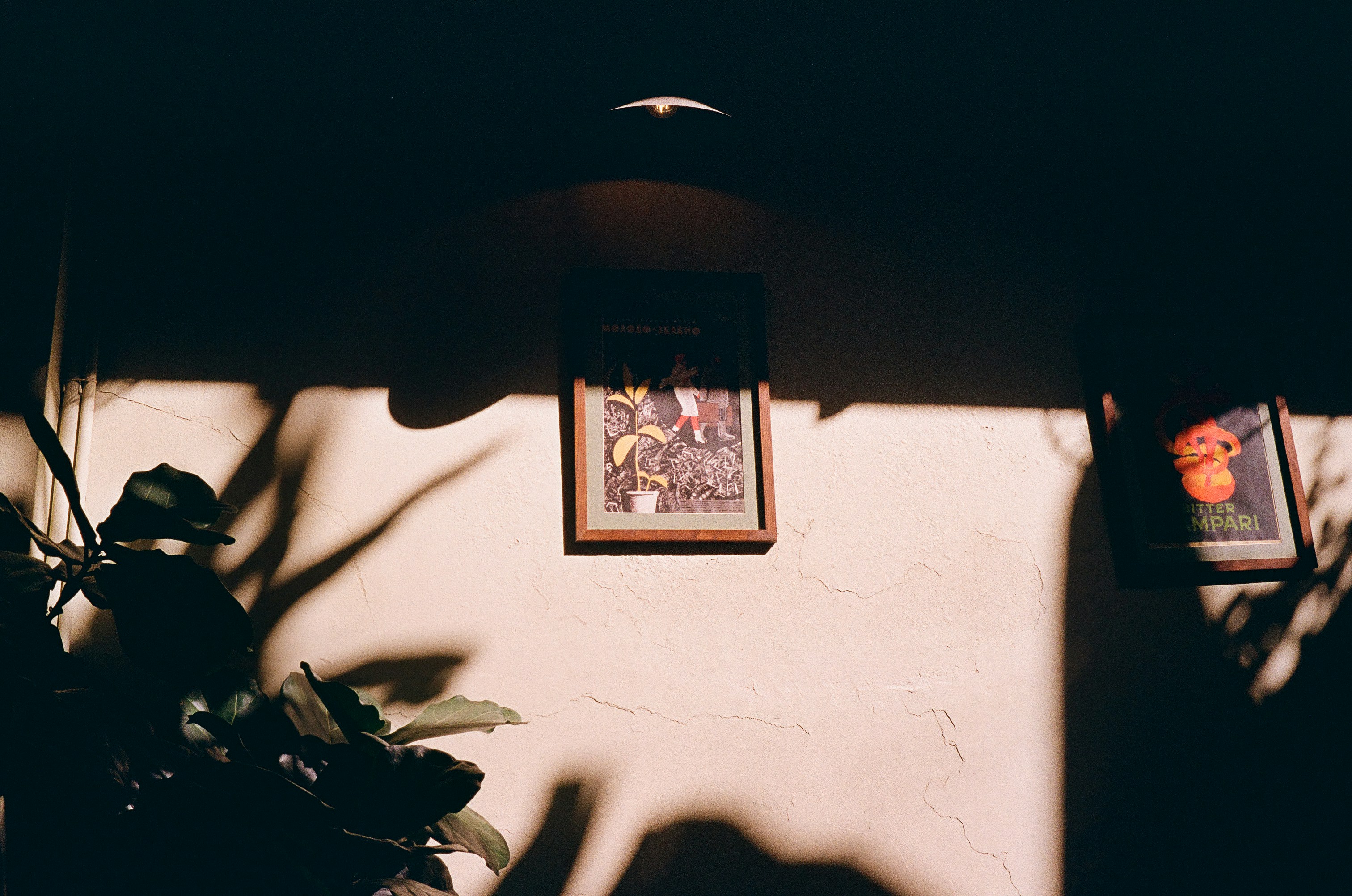 Photo by donguyenkhanhs