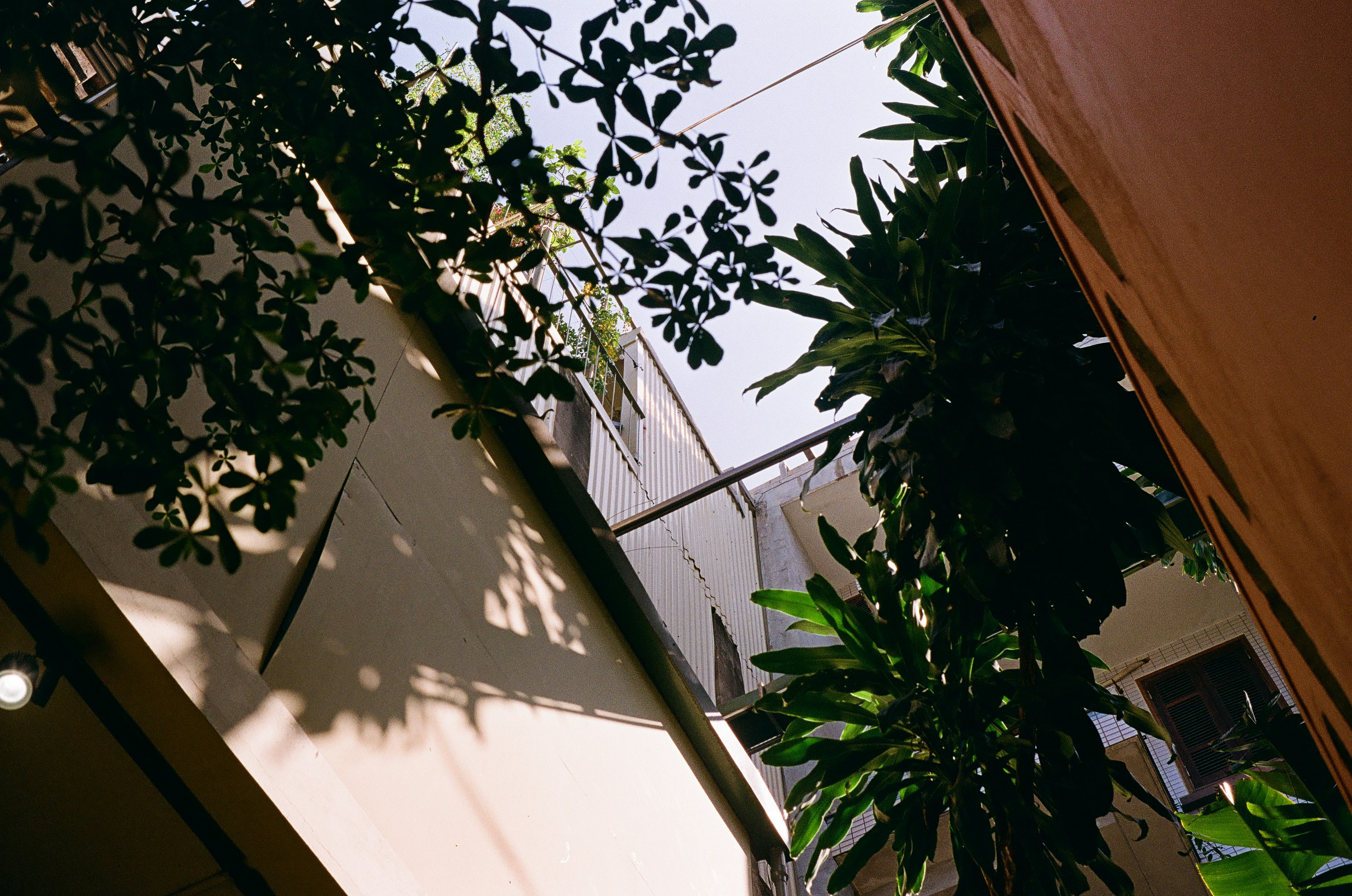 Photo by donguyenkhanhs