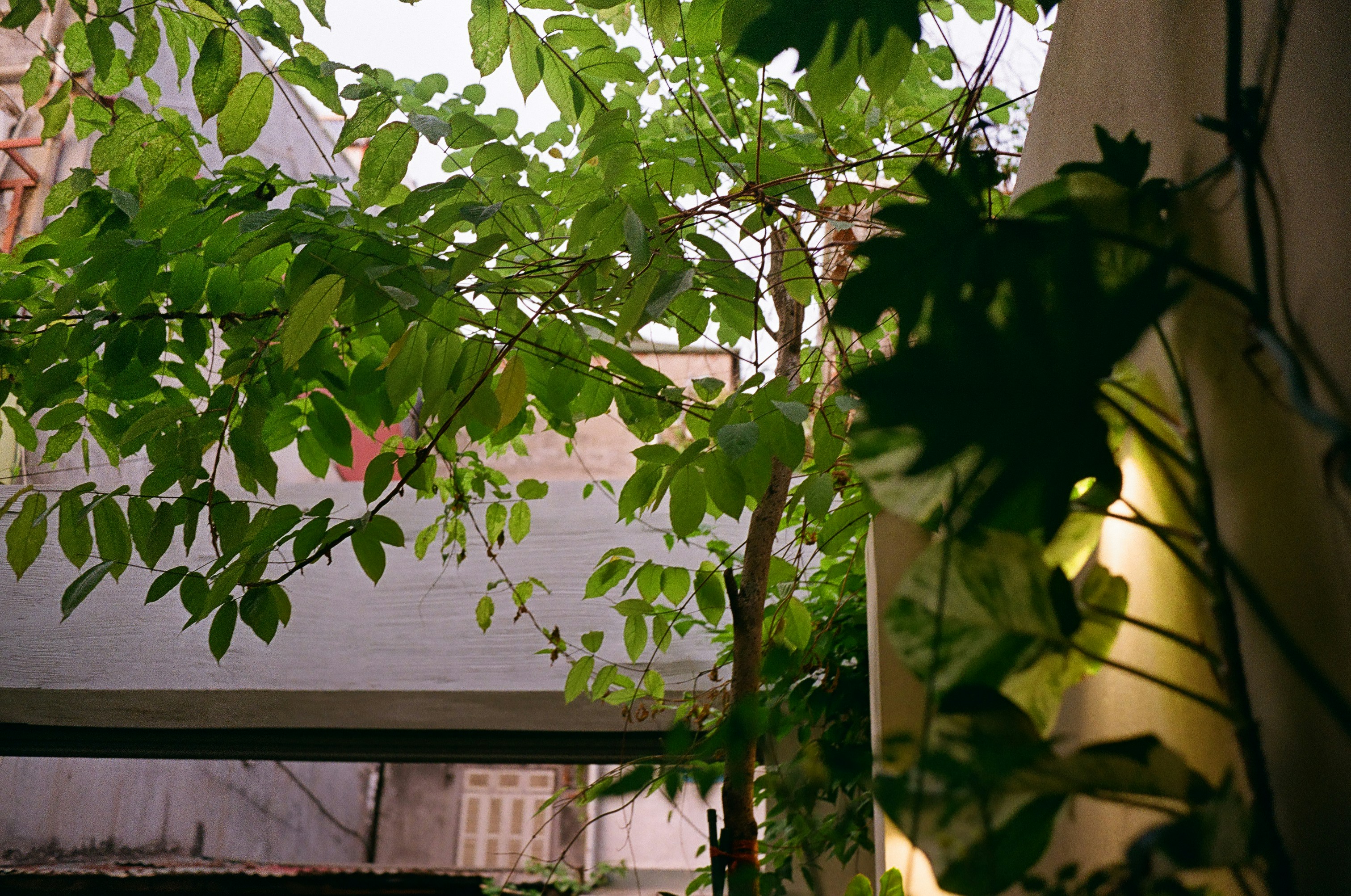 Photo by donguyenkhanhs