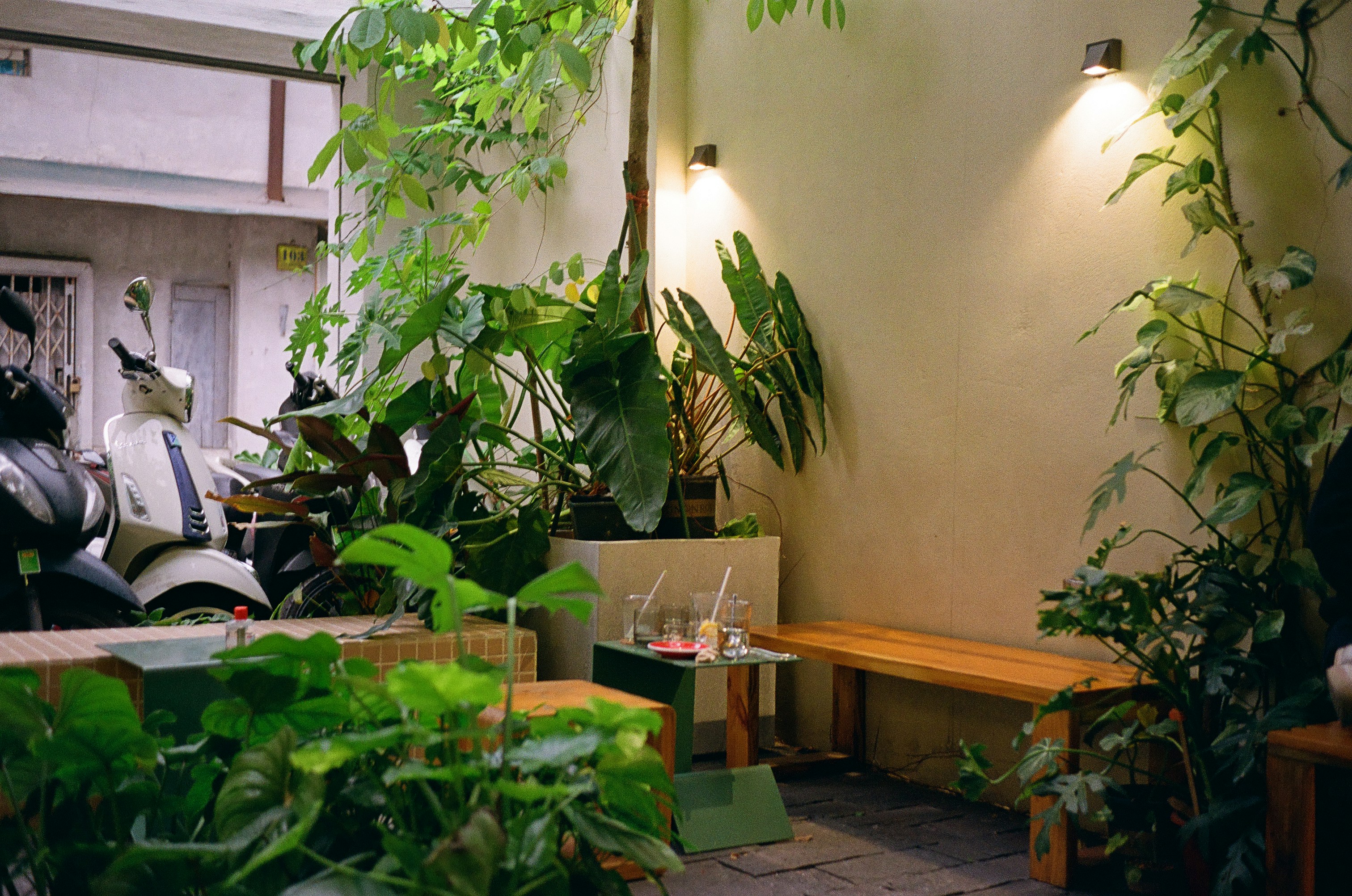 Serene interior of Sanctuary Health with exposed brick, abundant plants, and calming atmosphere - pilsen yoga