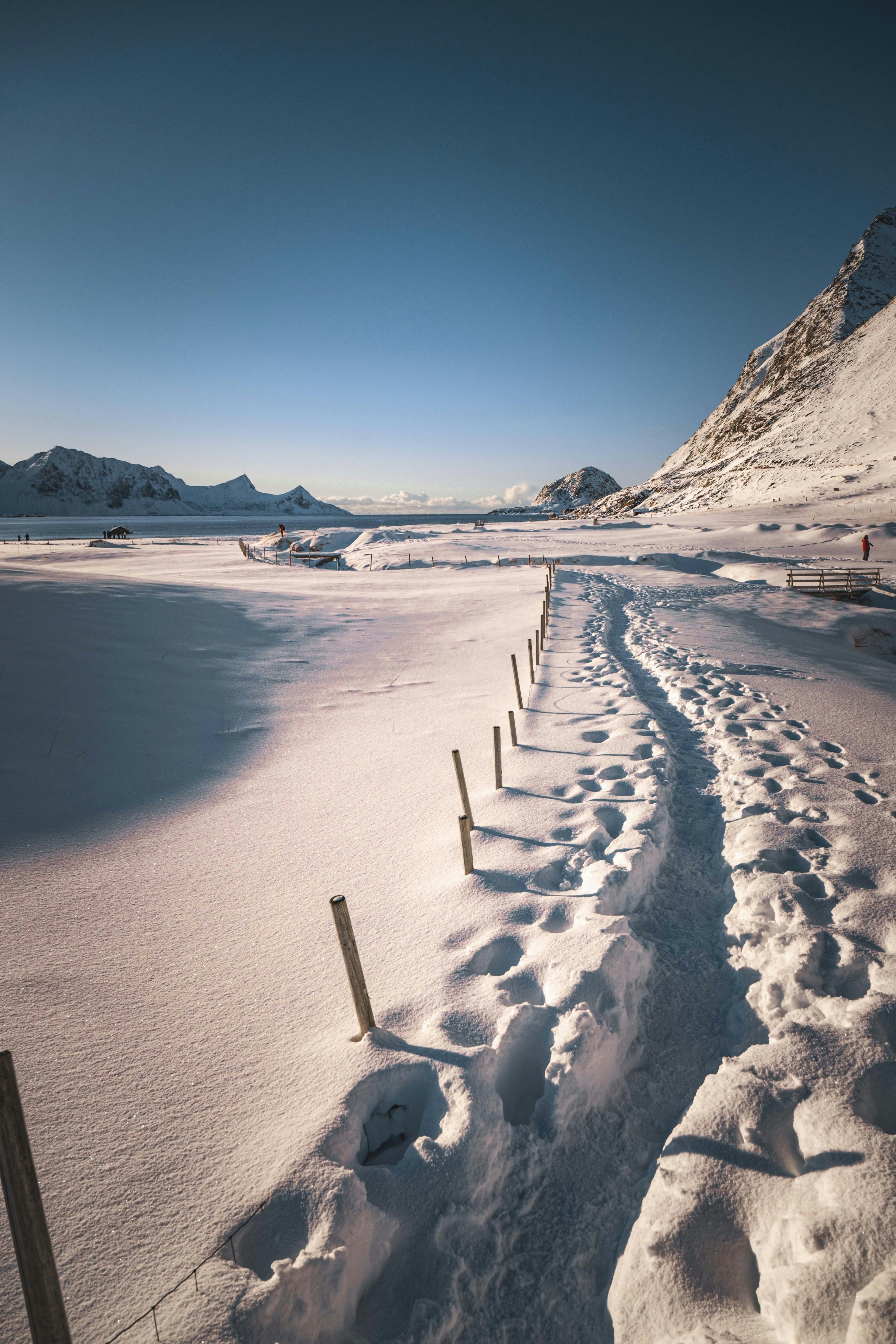 Photo by francesco_ungaro