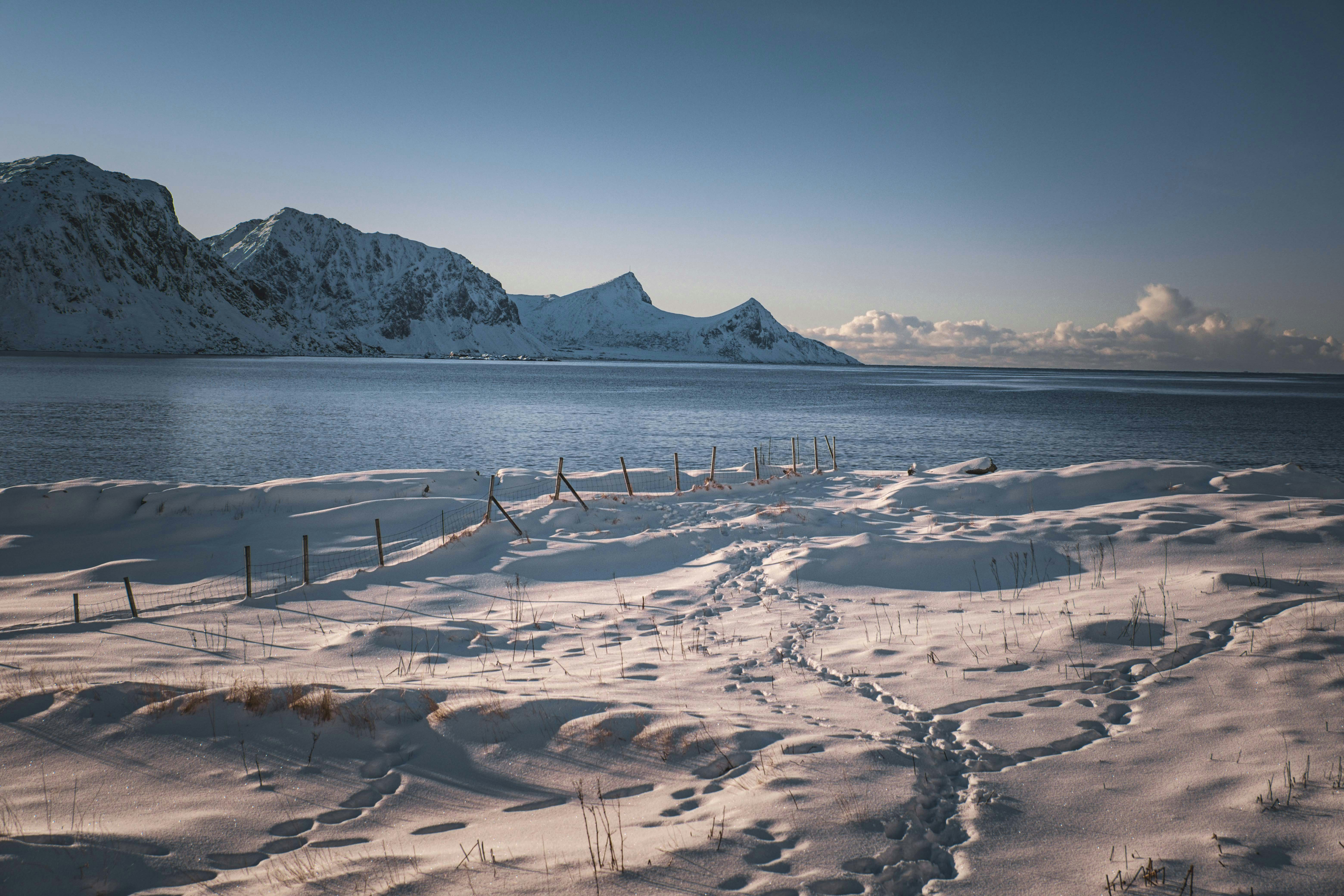 Photo by francesco_ungaro