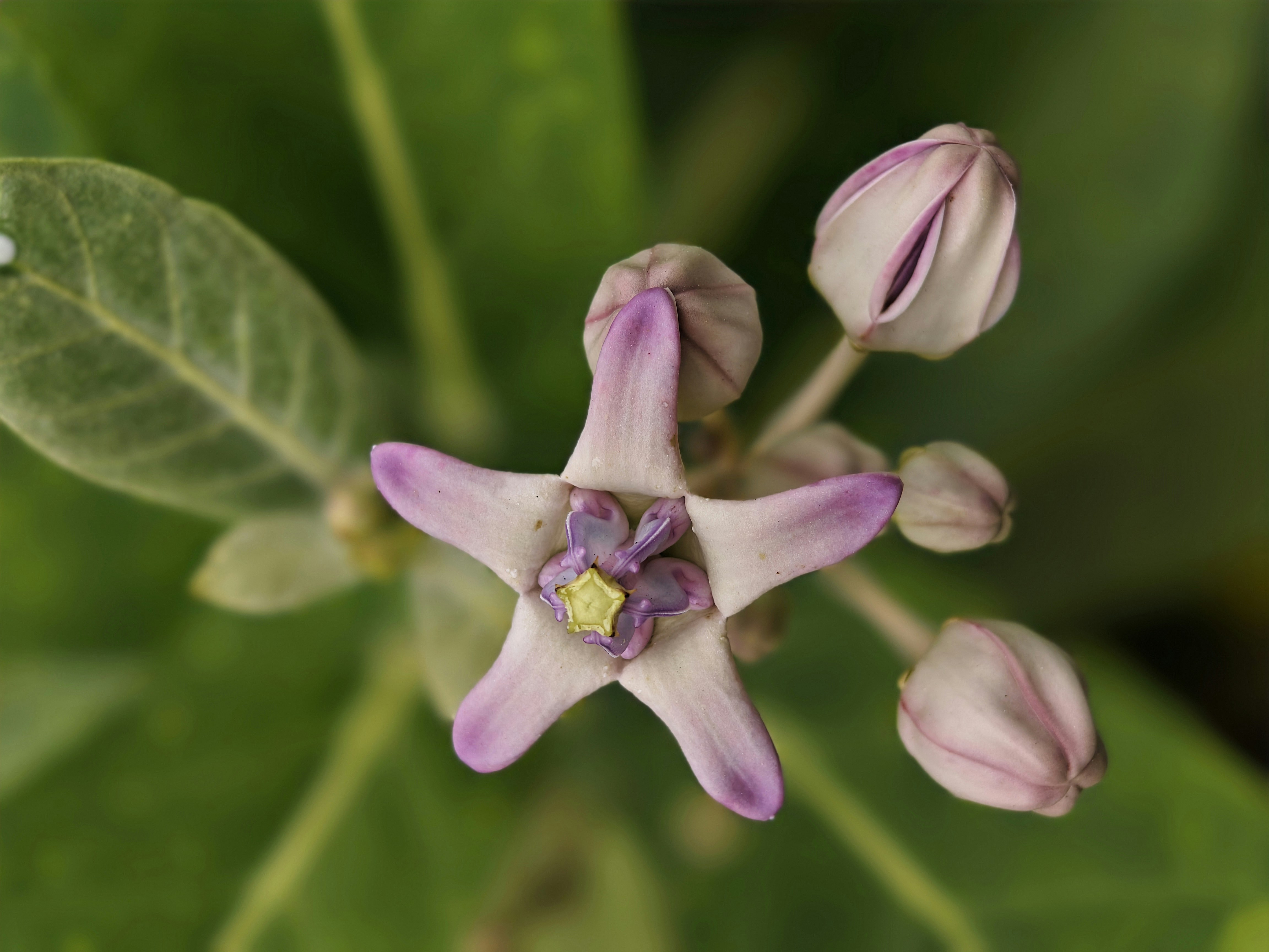 Photo by bakkiya2197