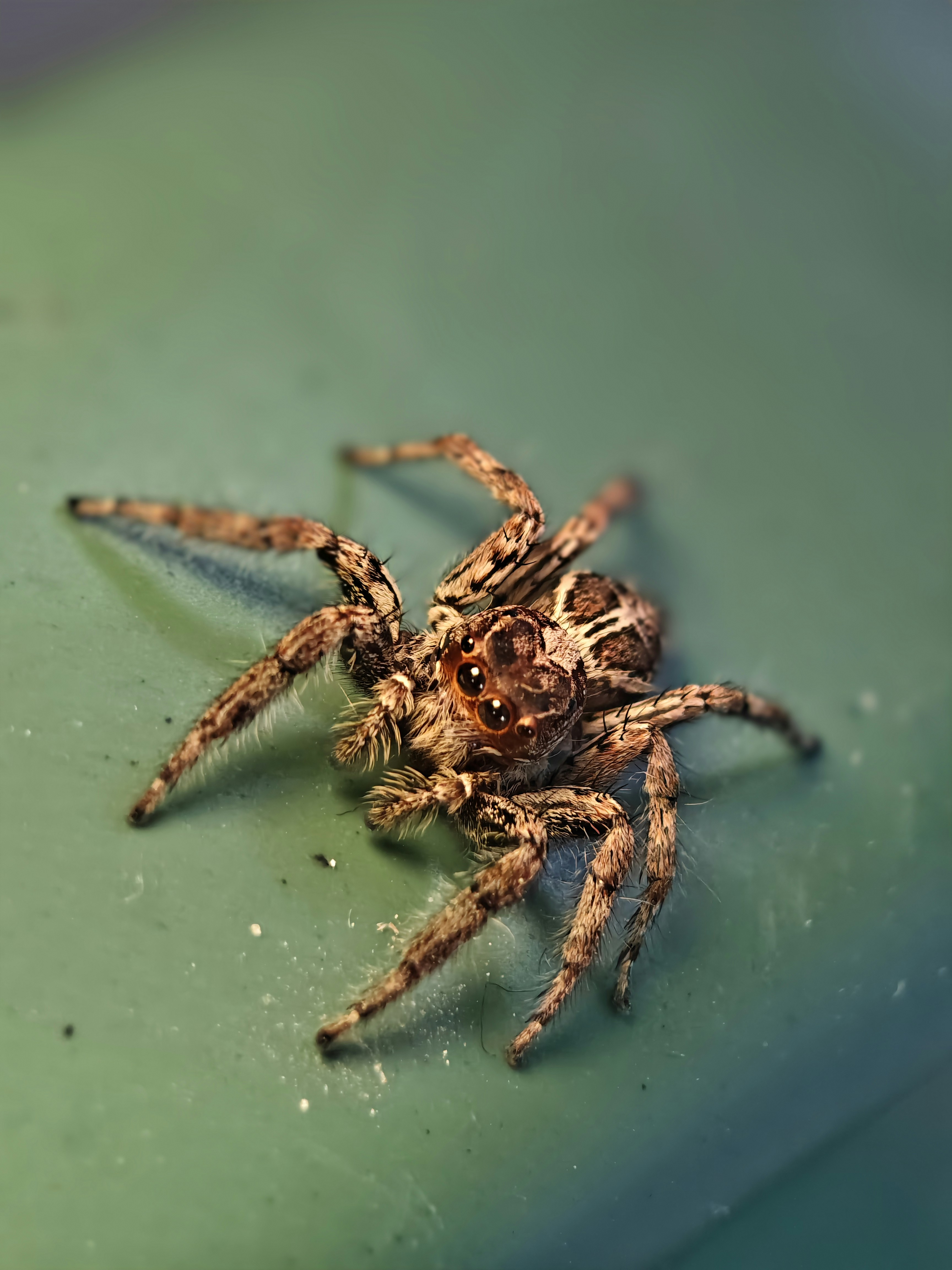 Photo by bakkiya2197