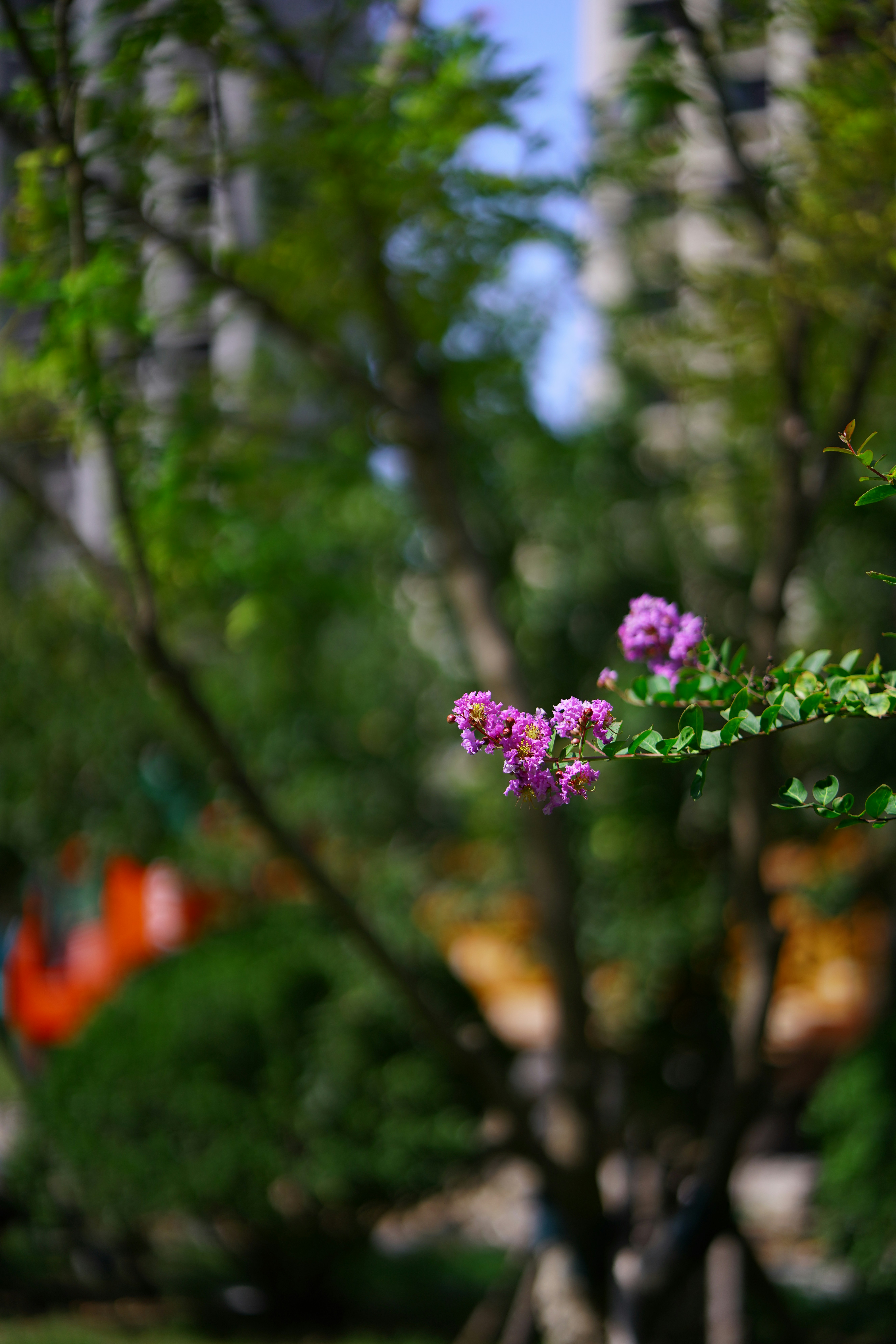 Une fleur rose pousse dans un arbre