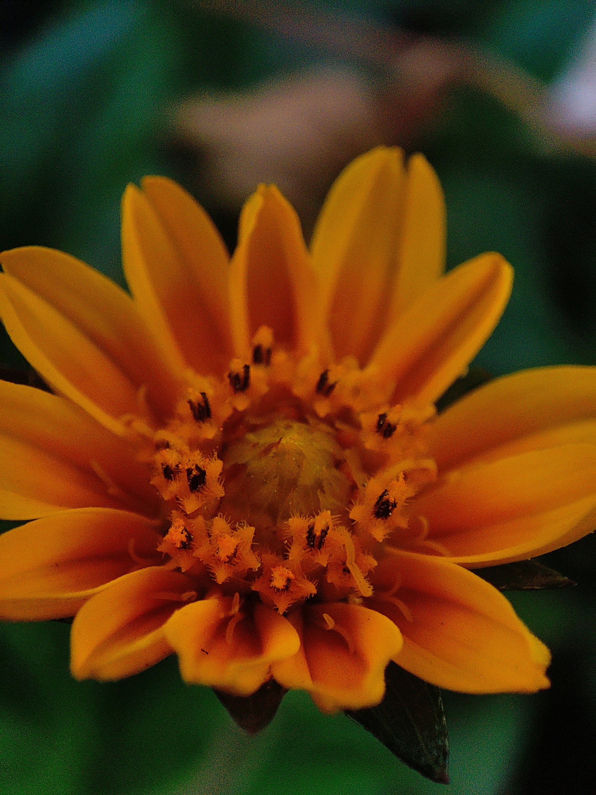 Photo by pranav_ijantkar04