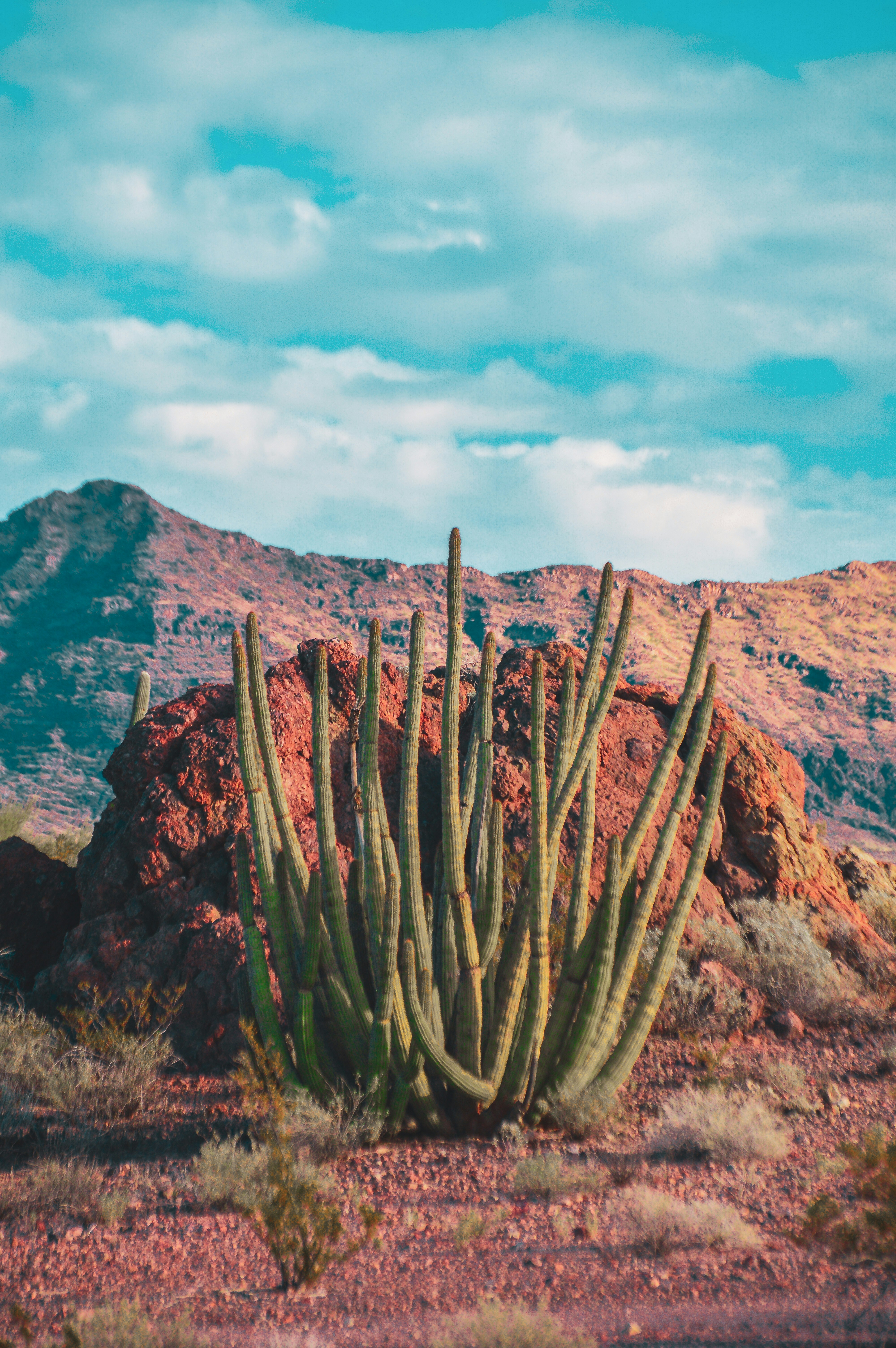 Photo by journalforest