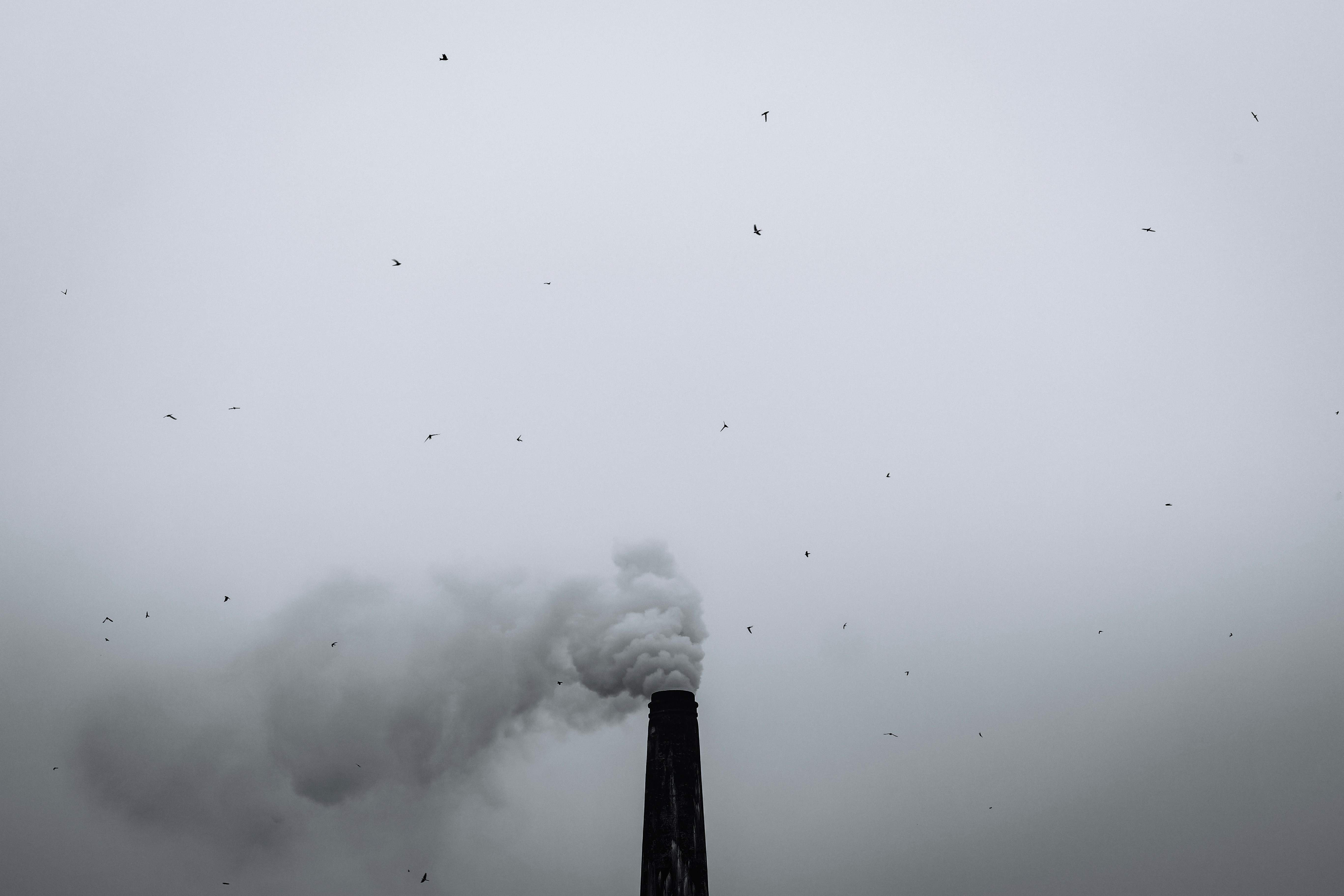 A black and white photo of a smoke stack