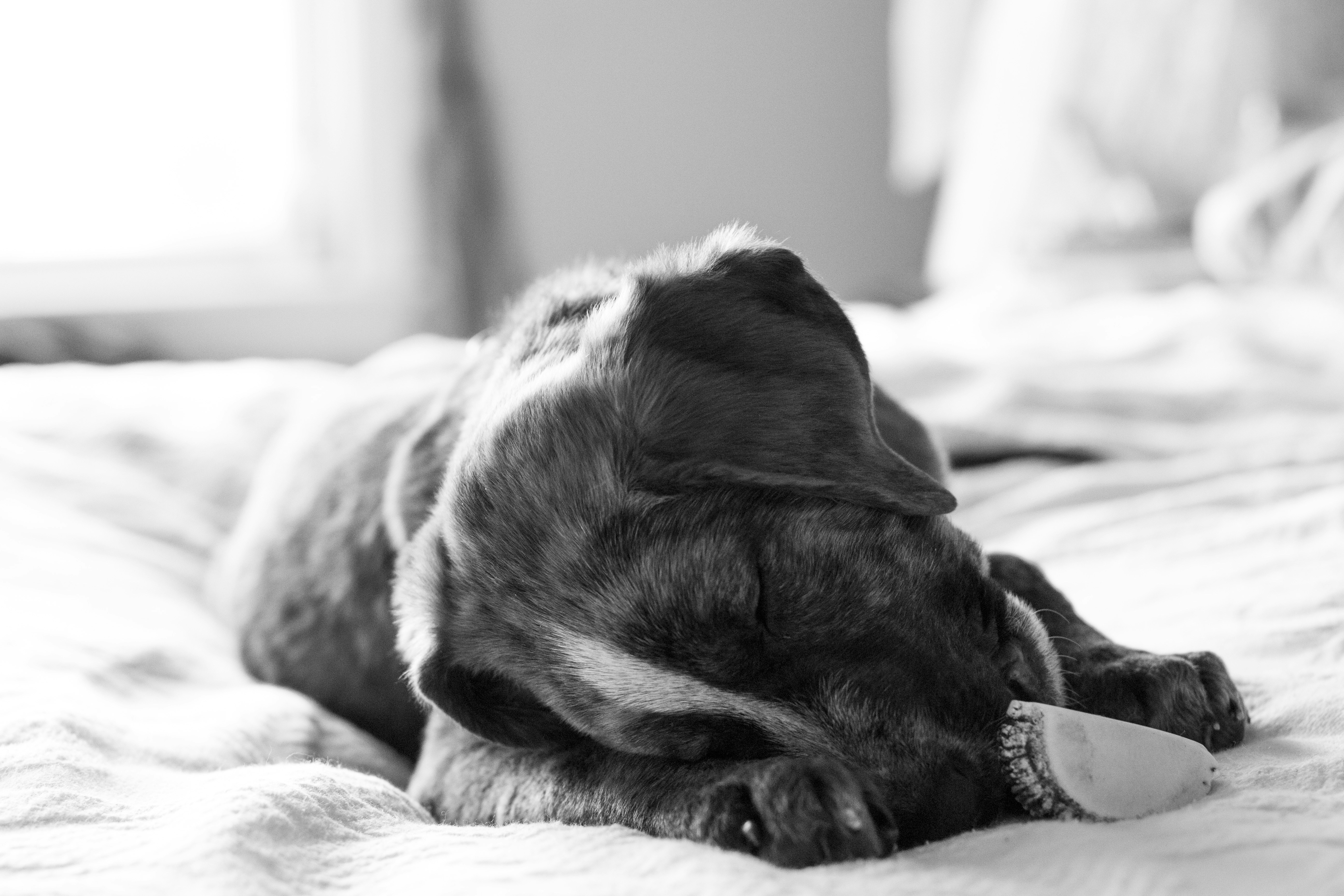 Photo by itschristinec