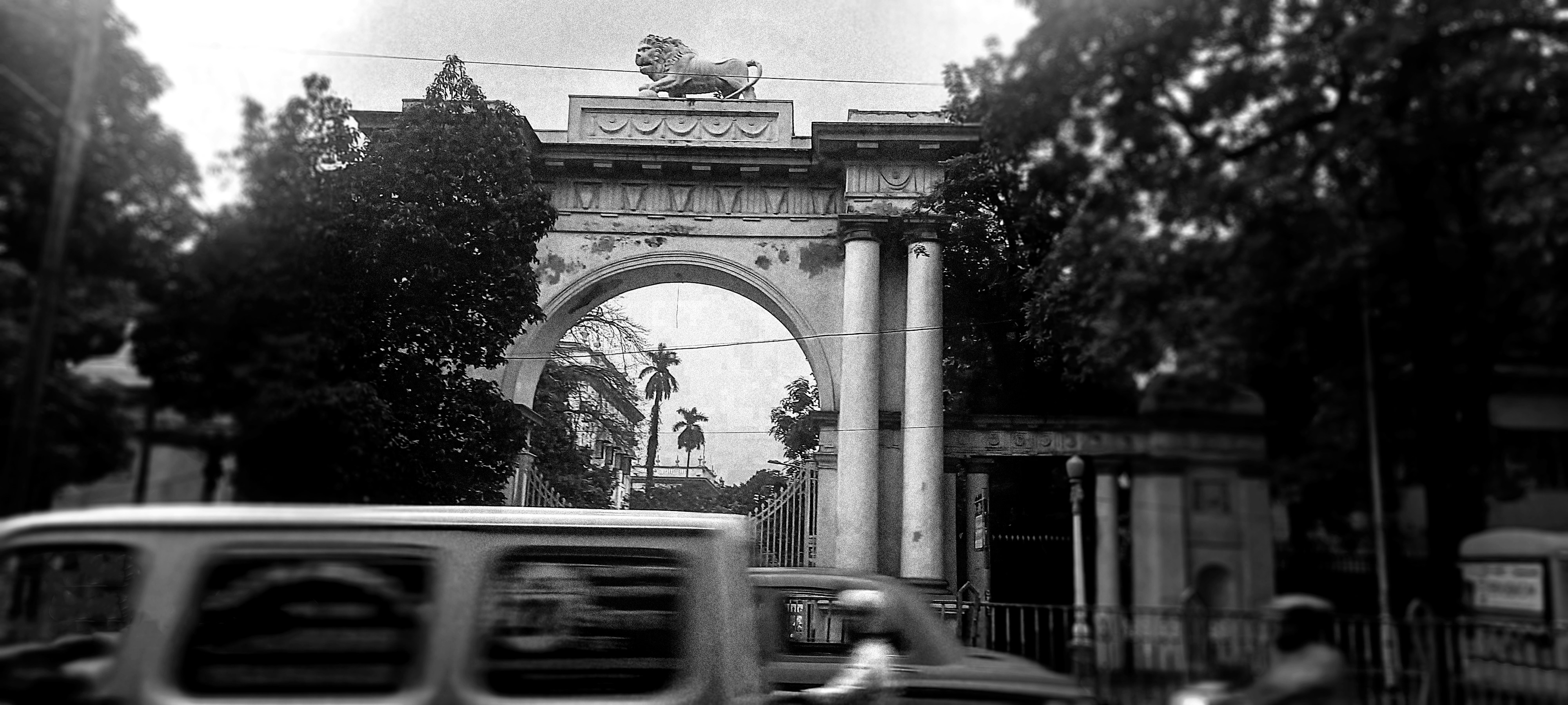 IIM Calcutta Empowers MBA Students to Launch Startups with Placement Flexibility