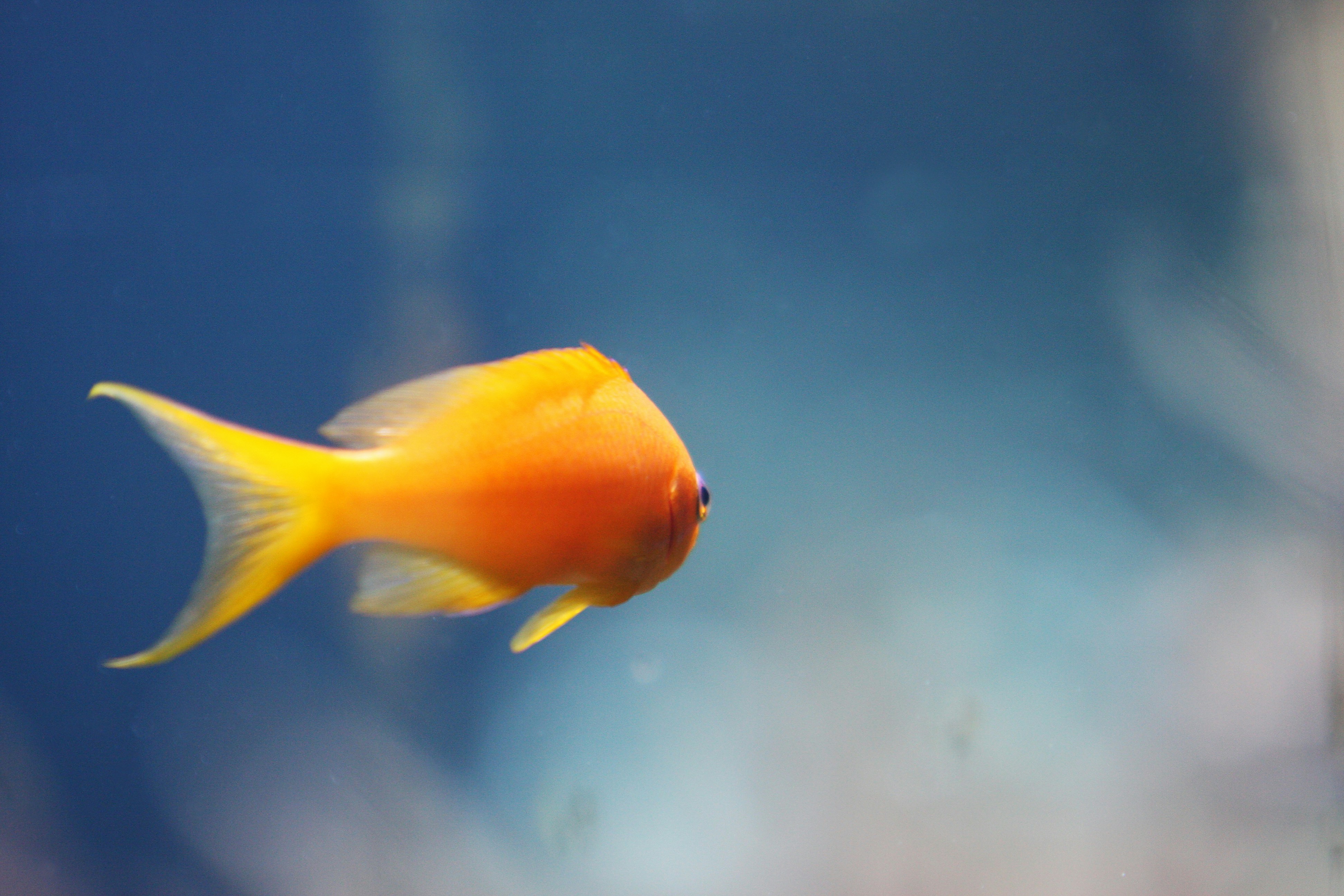 Photo by rafaelpeier