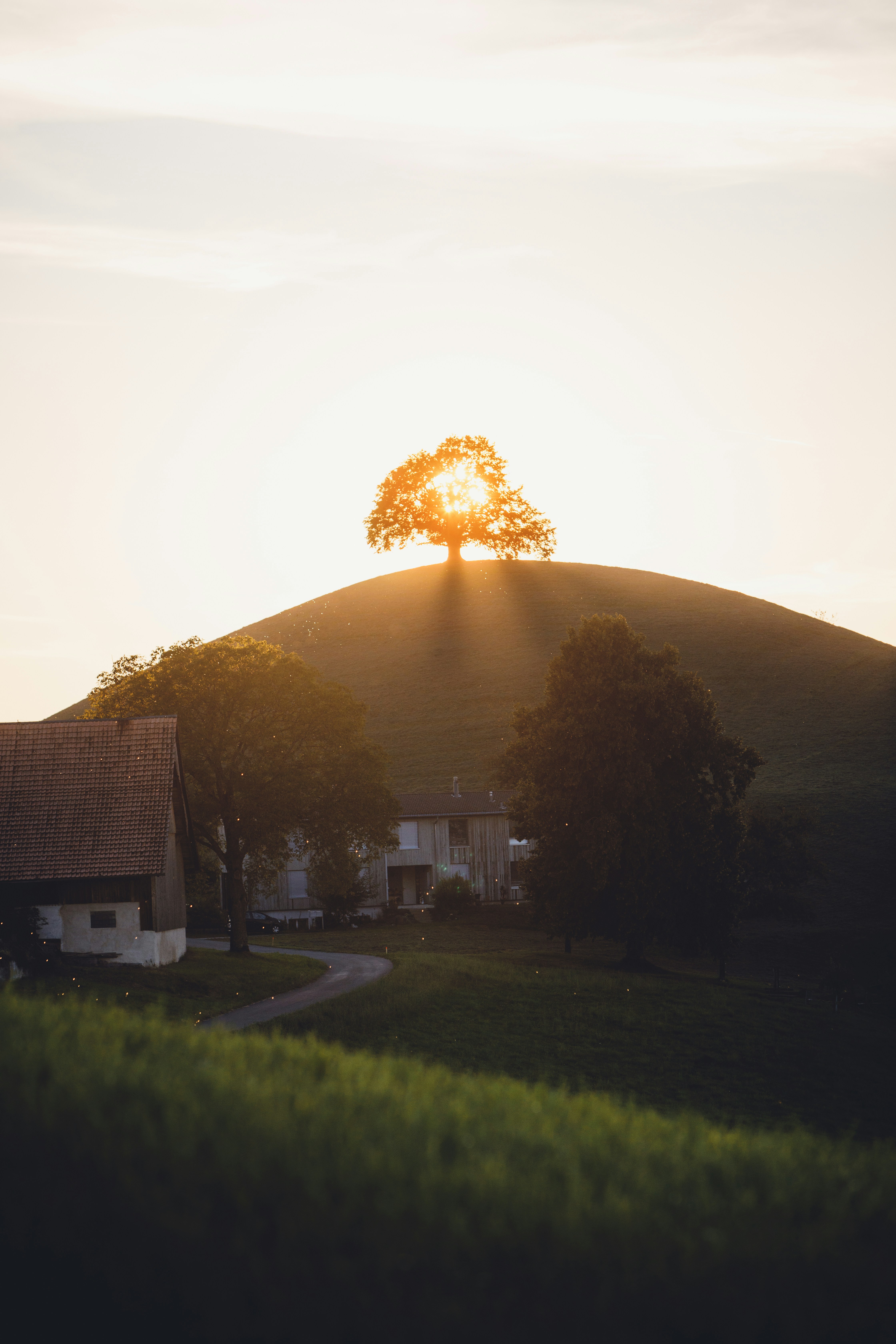 A house on a hill with a tree in the background