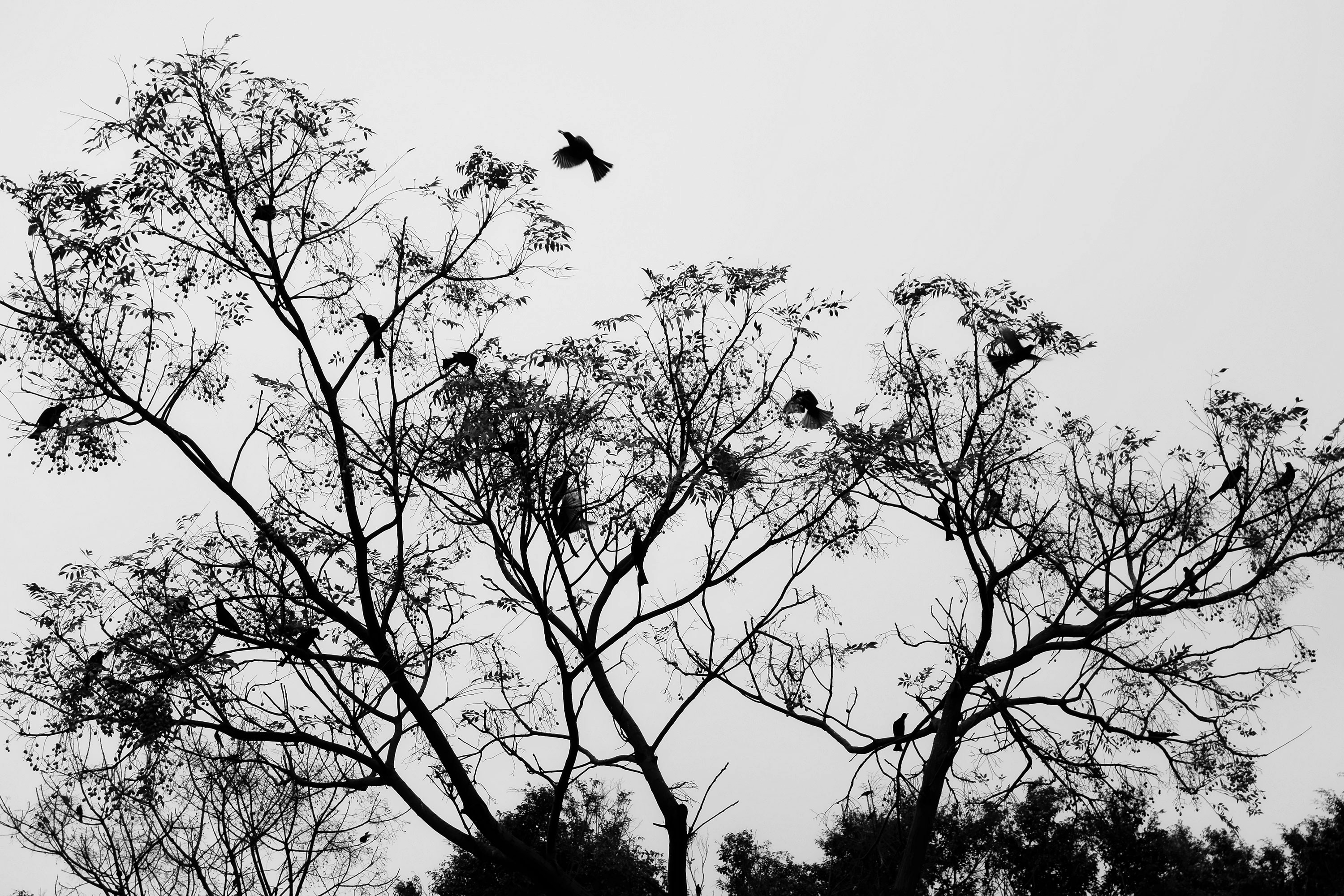 Photo by gingerlover