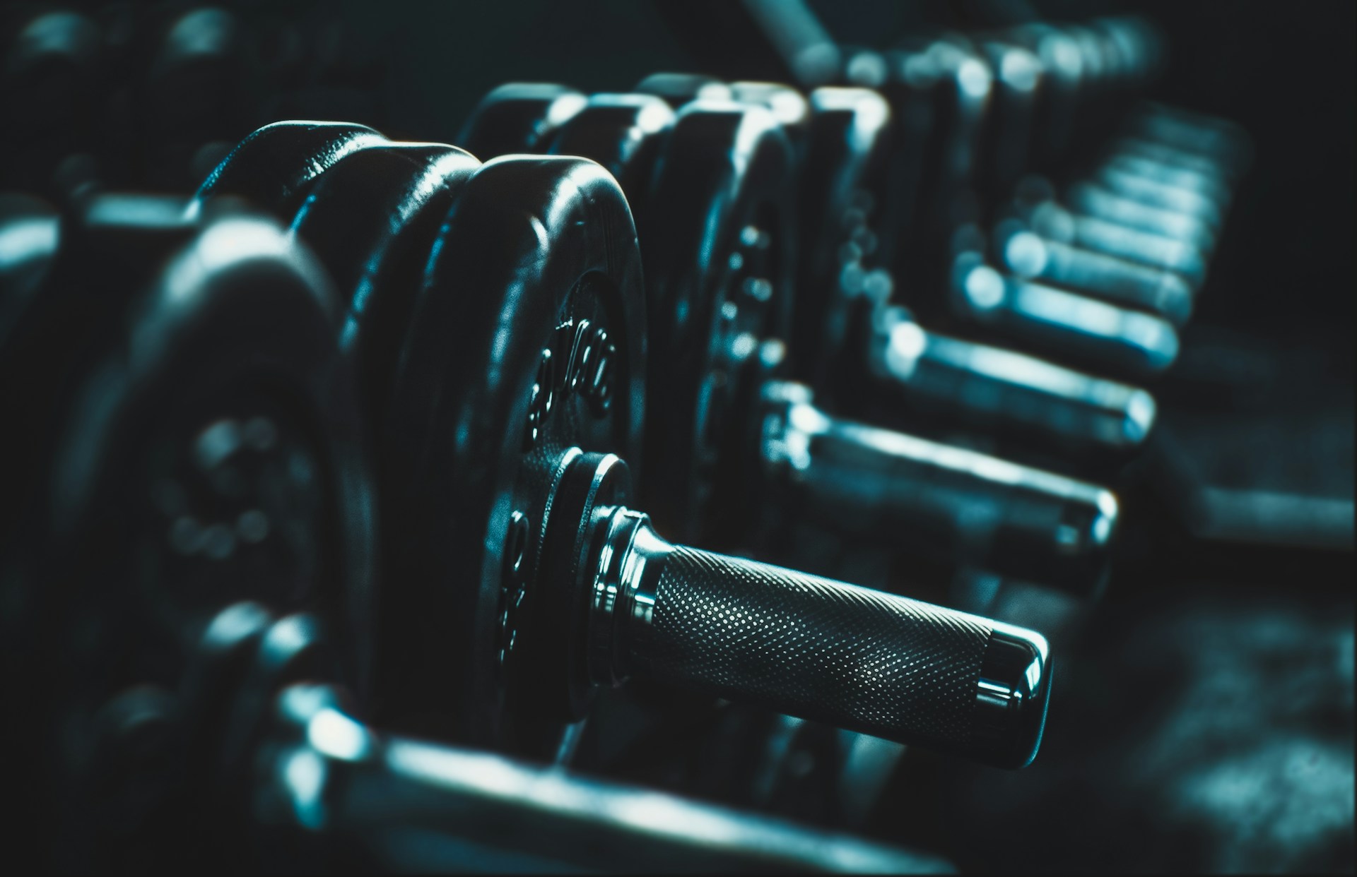 A row of dumbs in a gym