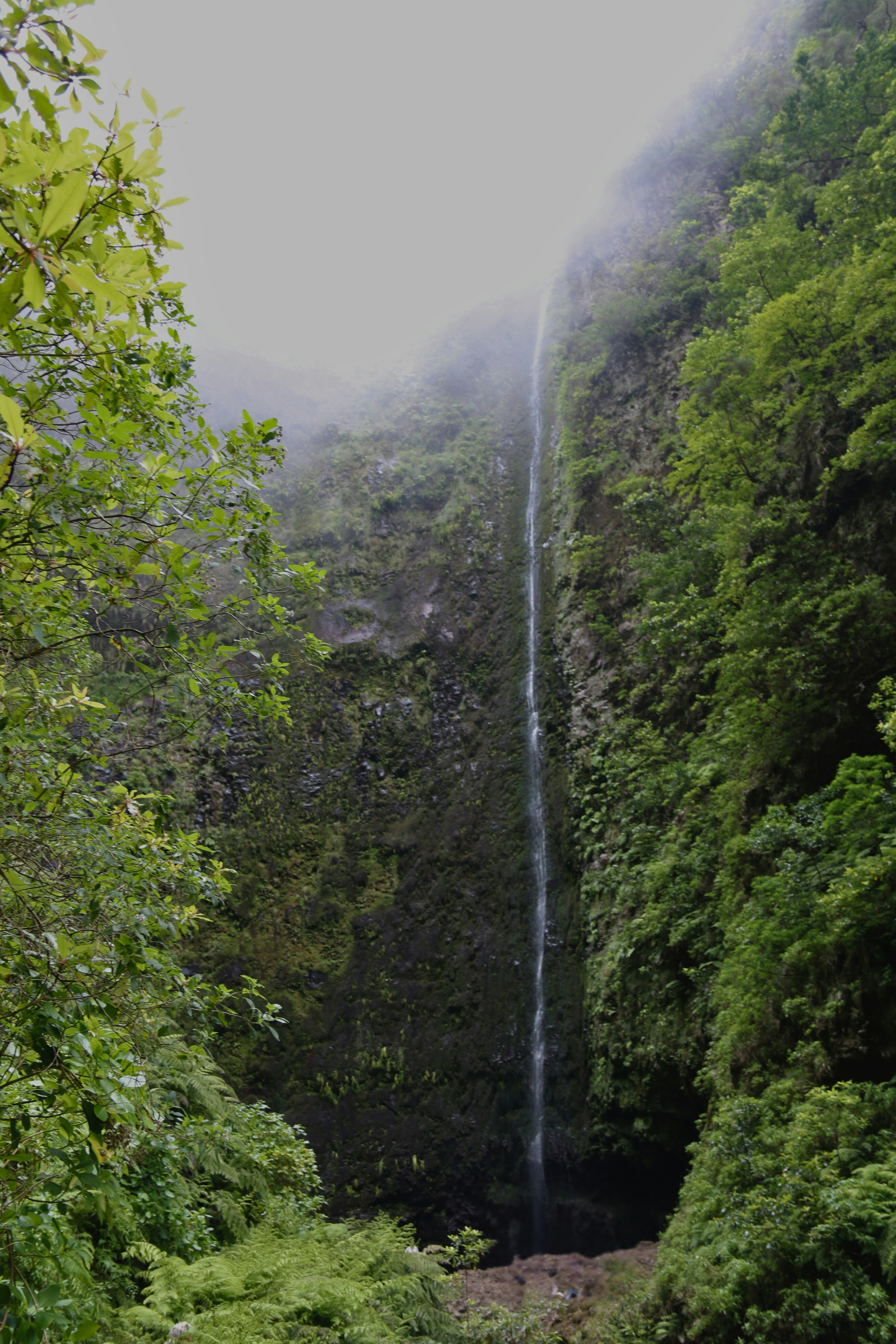 Photo by brunafisantos