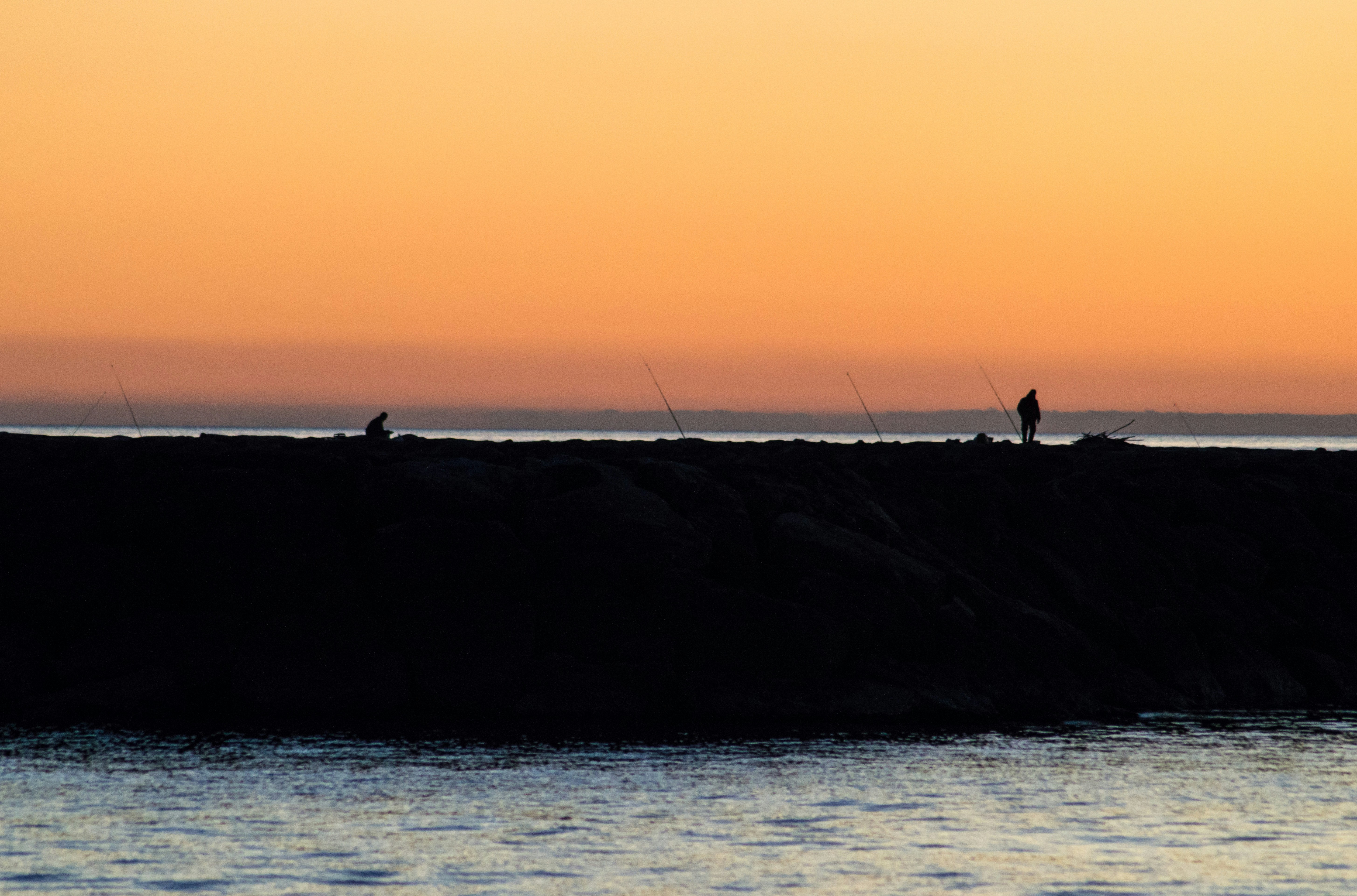 Um par de pássaros voando sobre um corpo de água