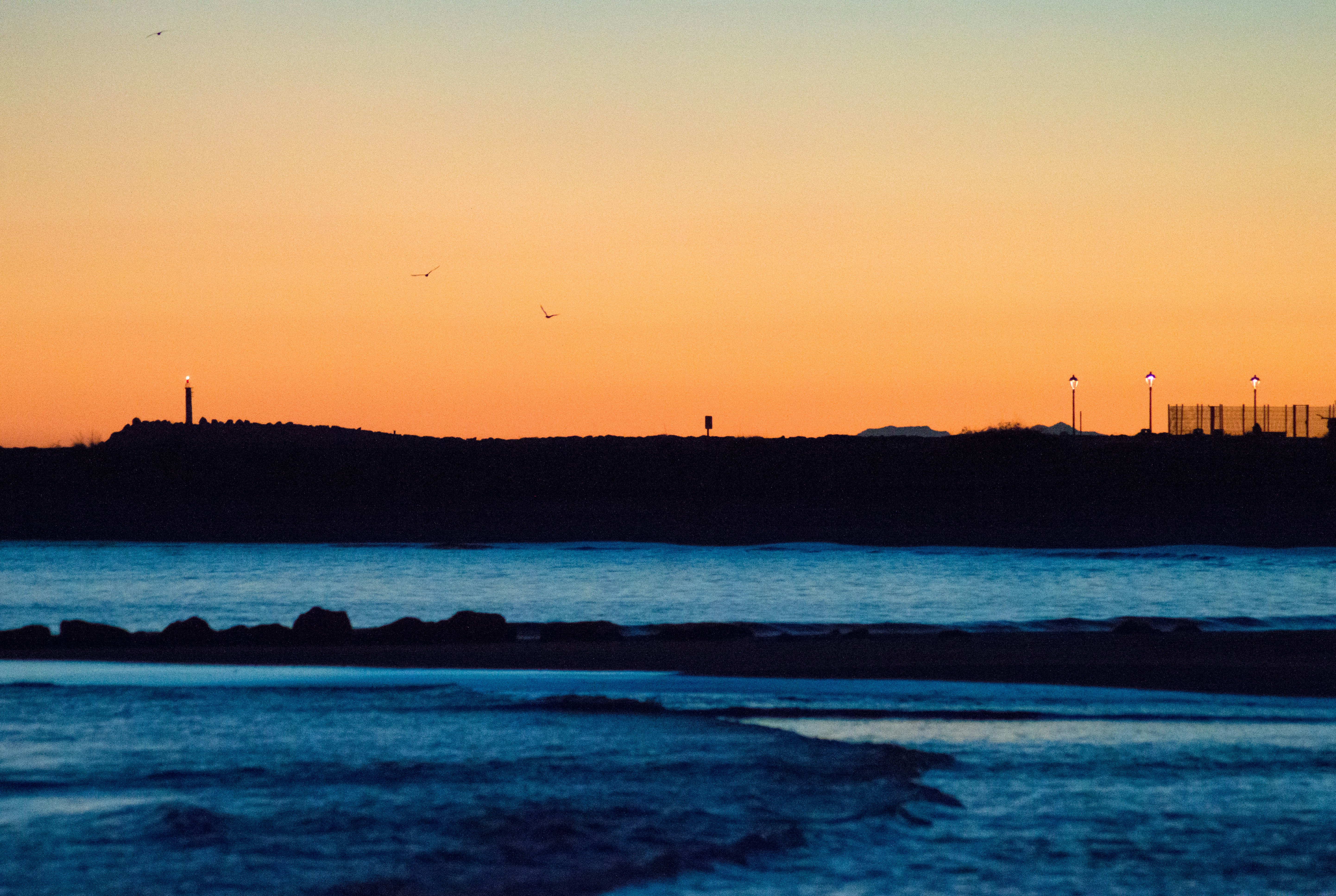 Photo by lucasgallone