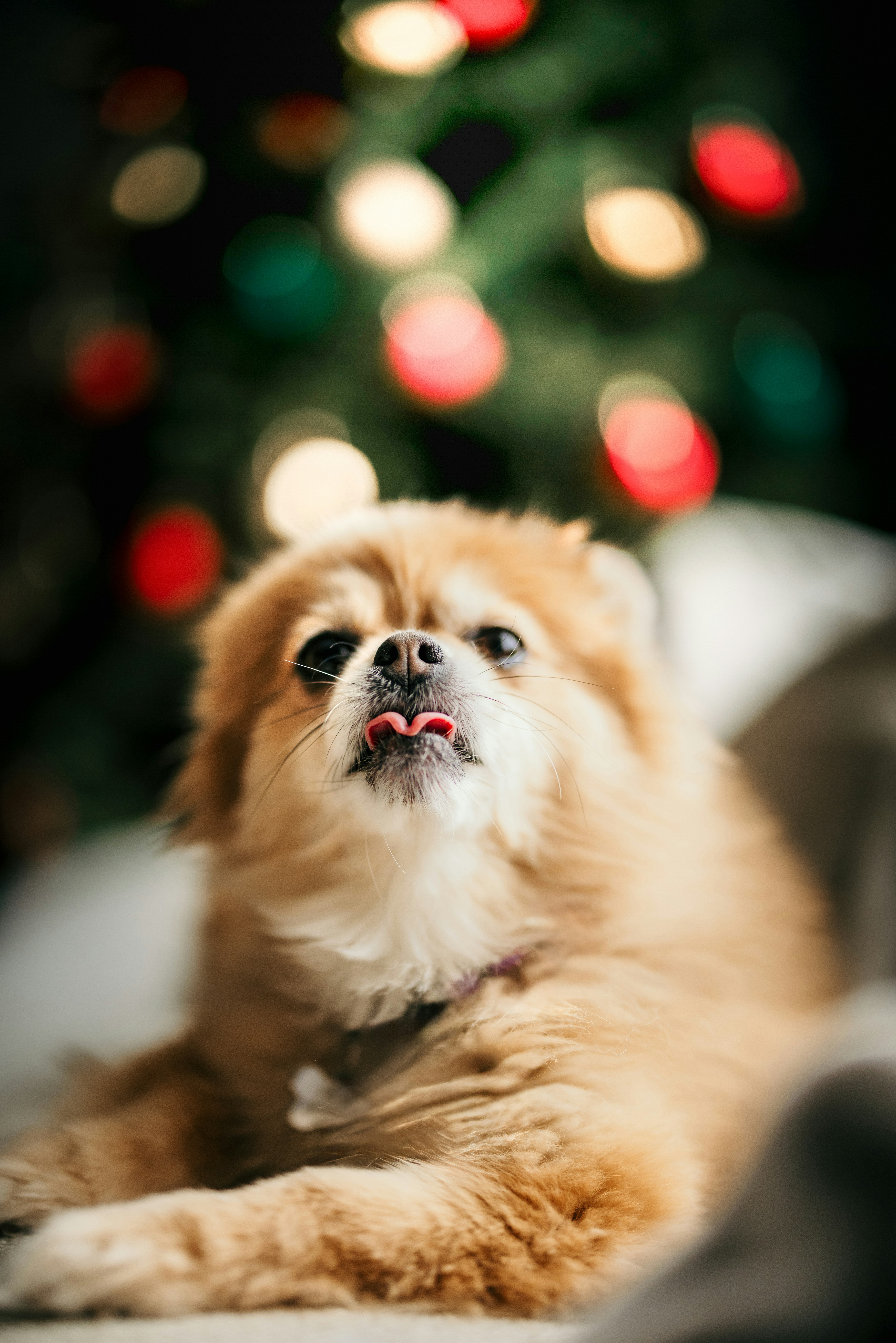 Photo by one91creative