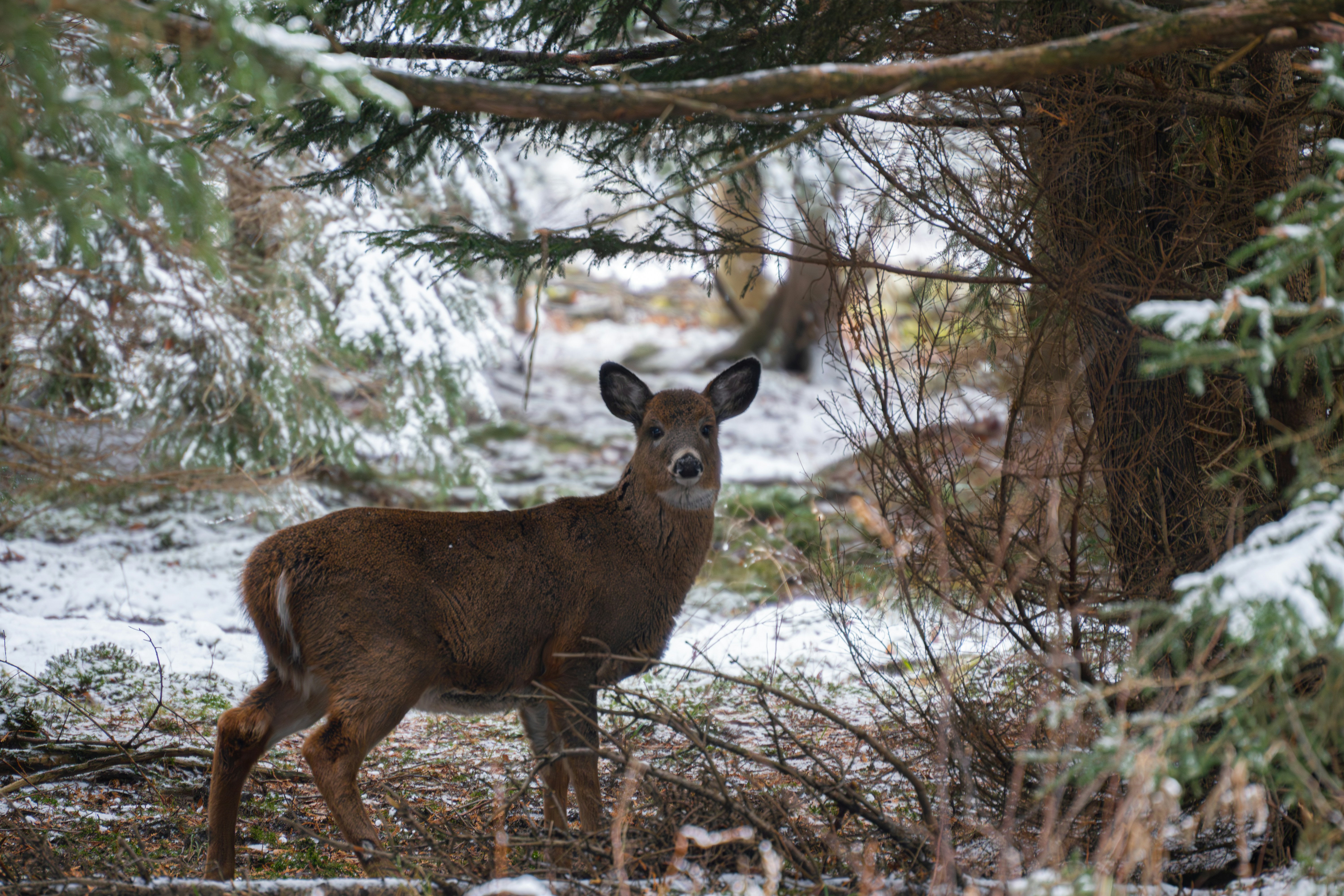 Photo by tog_photography