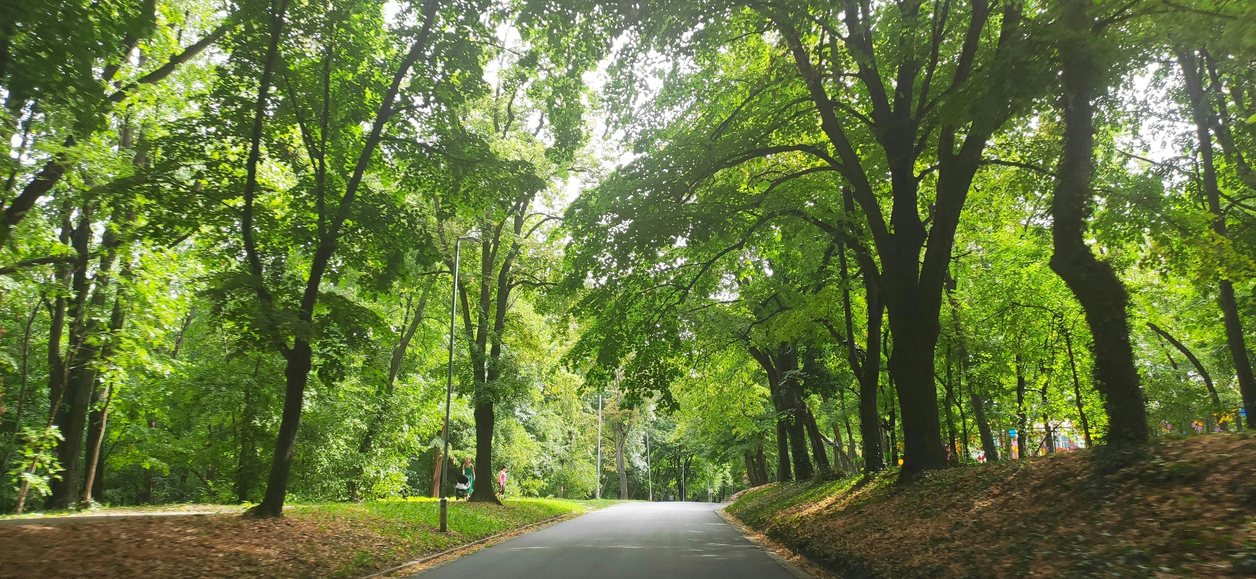 Photo by abdullahguch