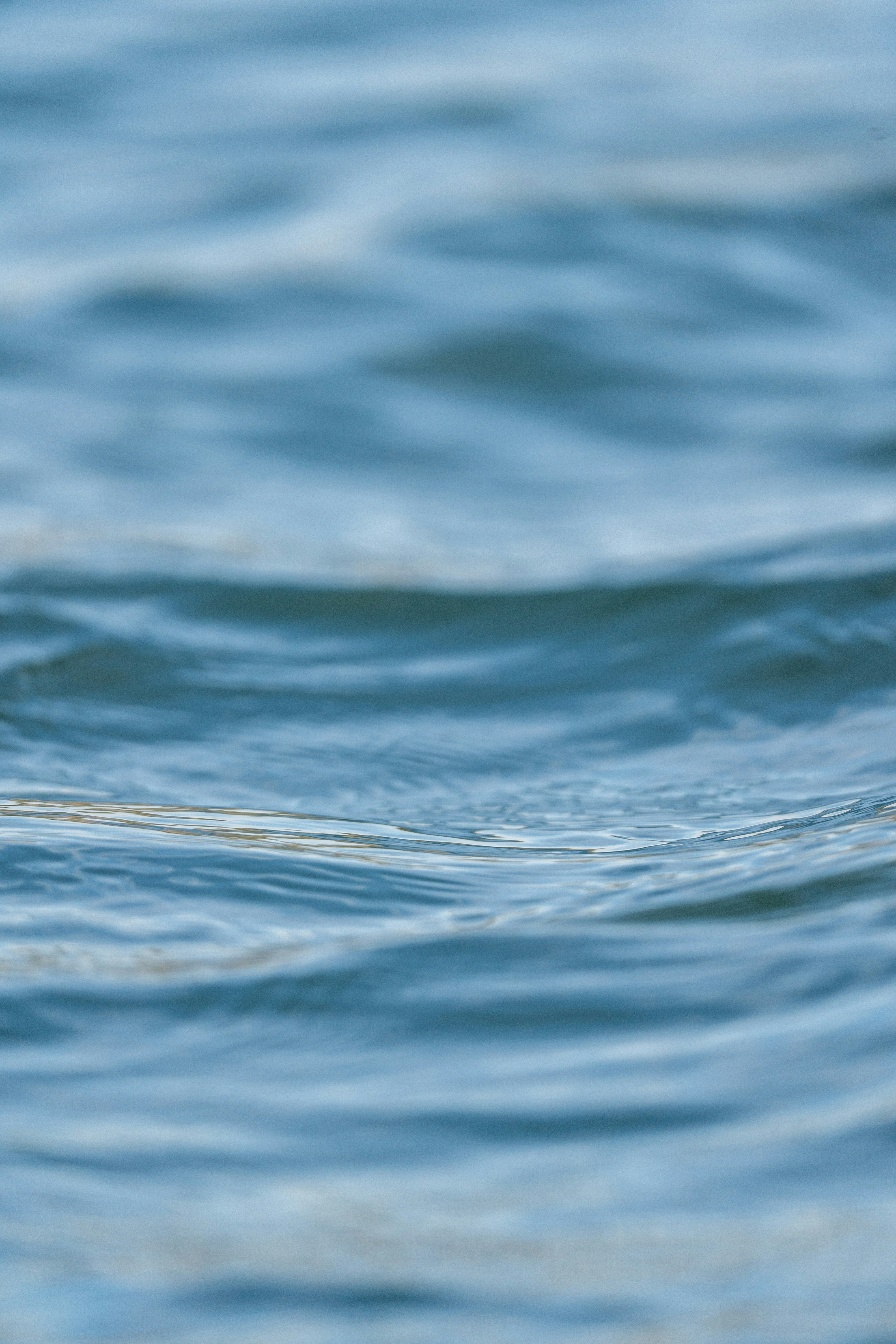 Photo by ashesofwild