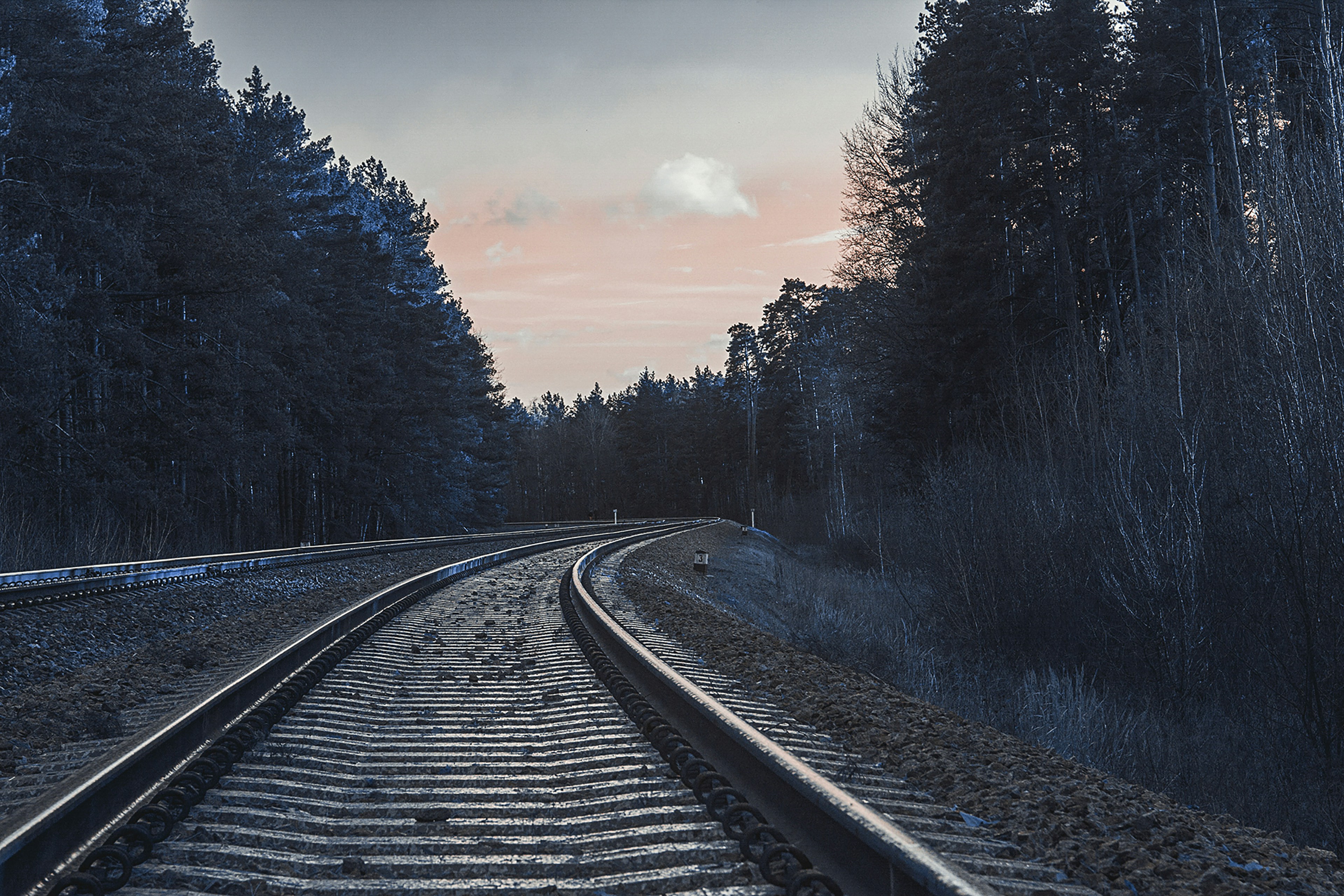 Photo by steshenkov_d