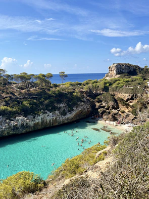 A blue lagoon surrounded by trees on a sunny day