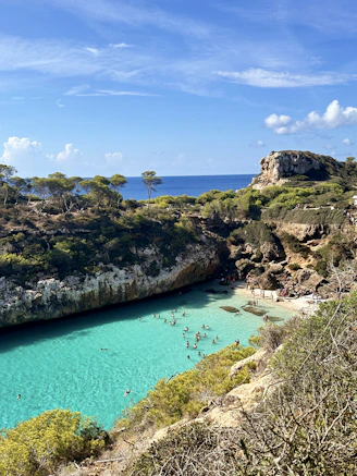 A blue lagoon surrounded by trees on a sunny day