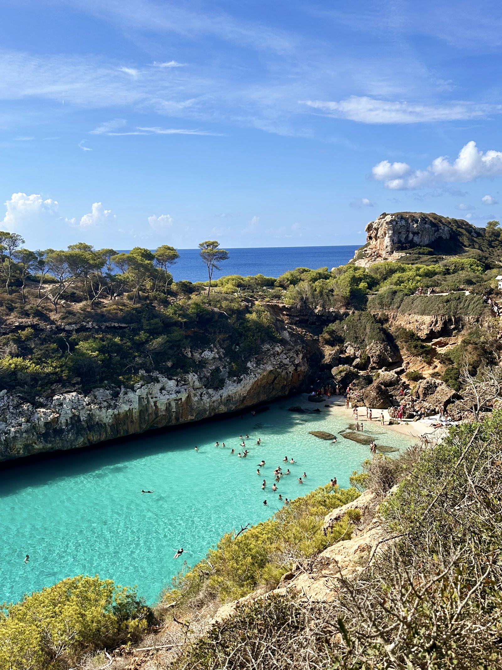 Calanque aux eaux émeraude bordée de falaises et de pins à Majorque