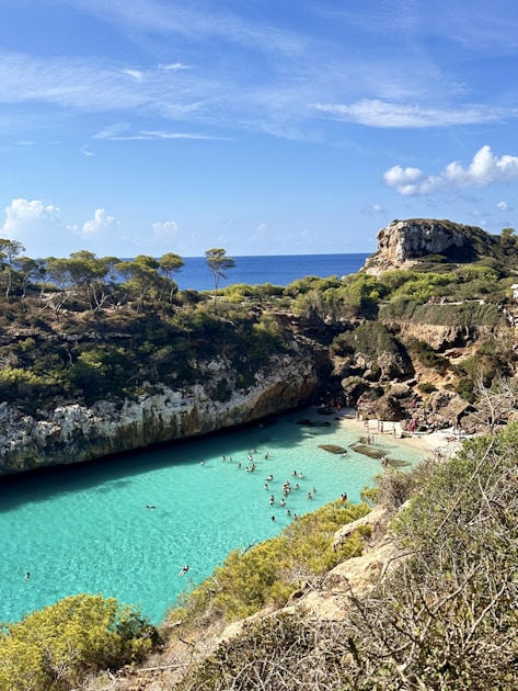 Finca raixa botanischer garten familienausflug mallorca — step-by-step visual example