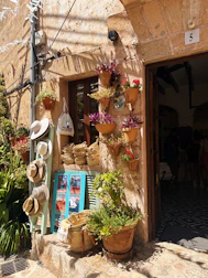 A building with a bunch of potted plants on the outside of it
