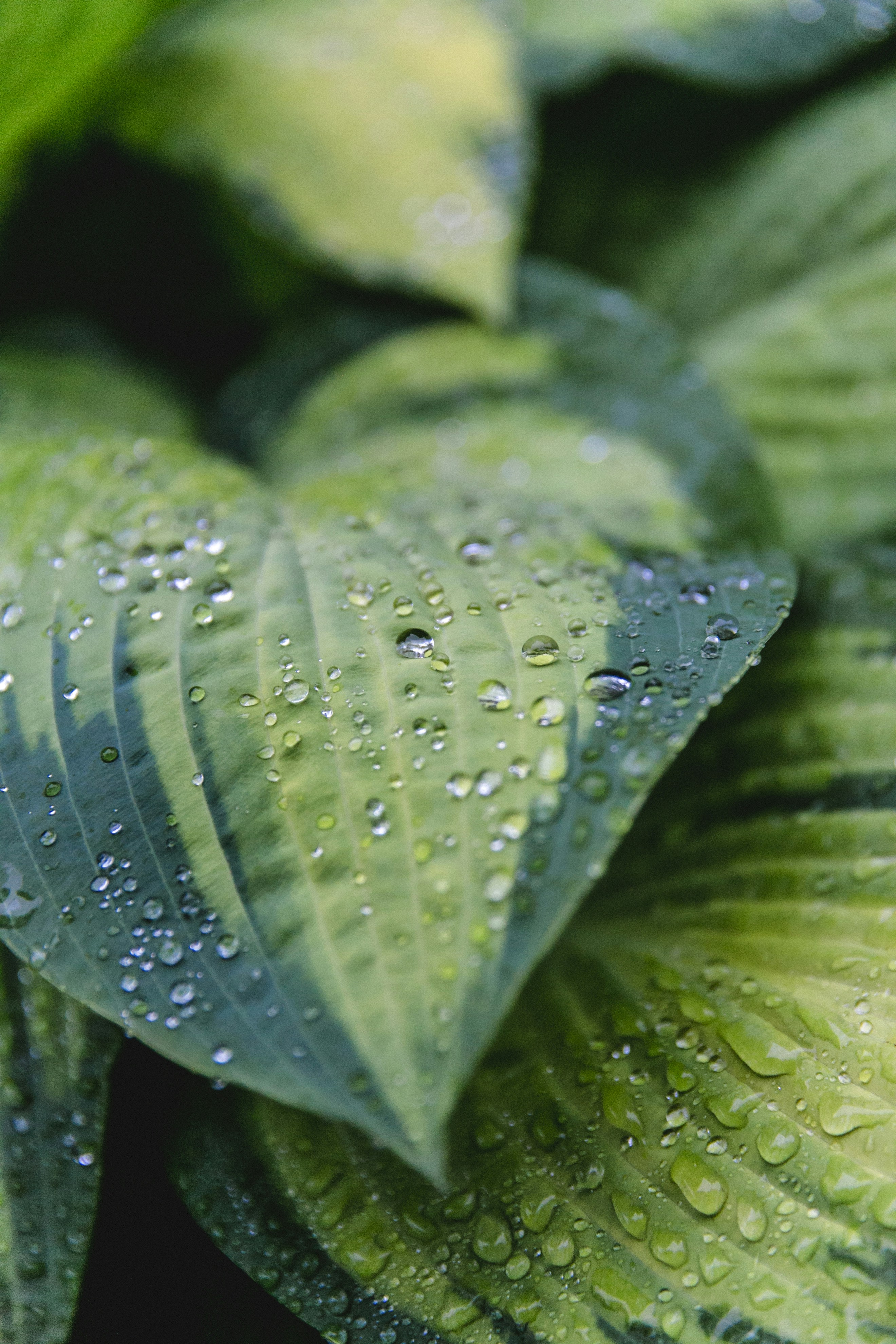 Photo by hanna_witte_photography