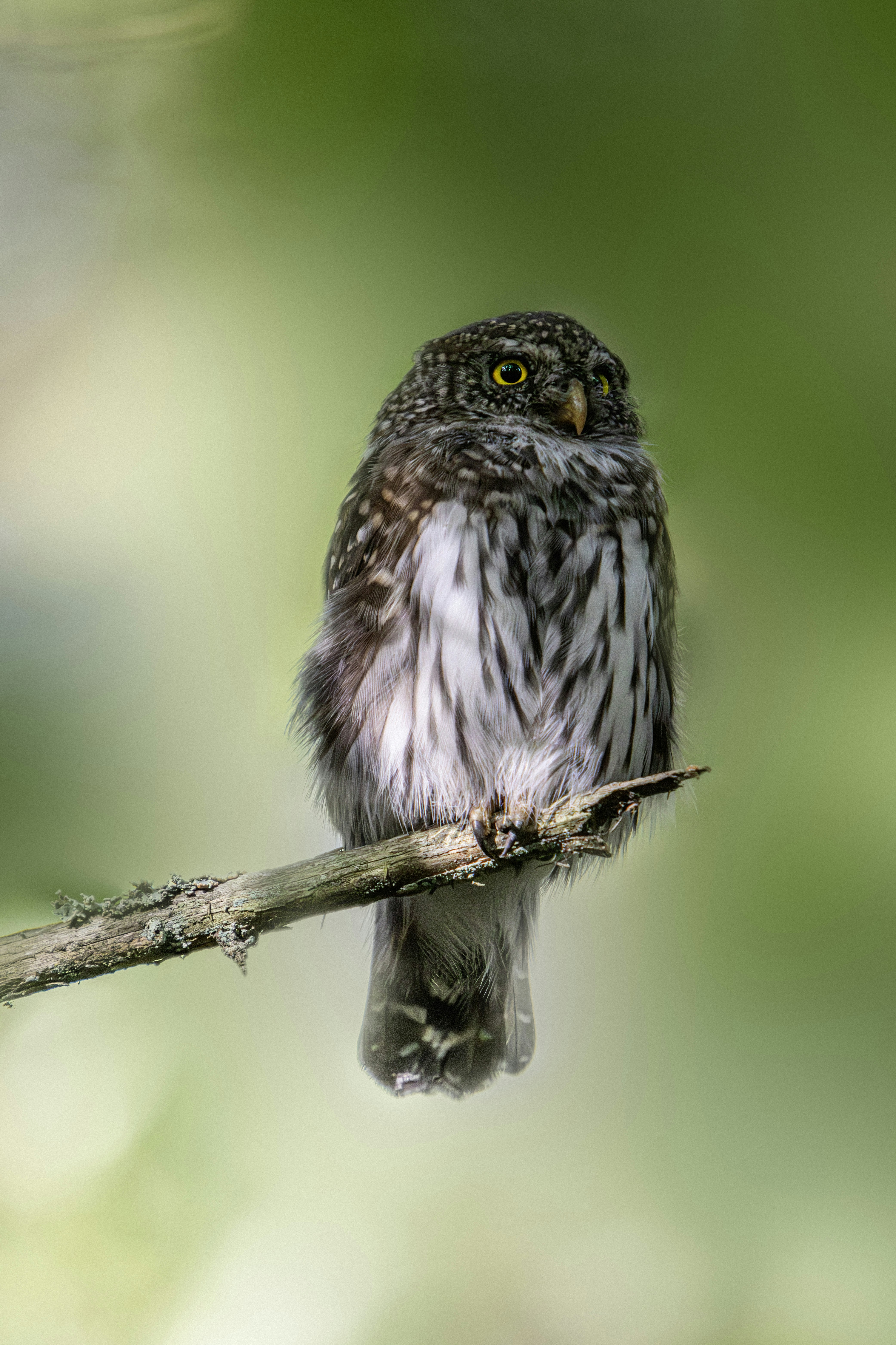 Photo by erik_karits