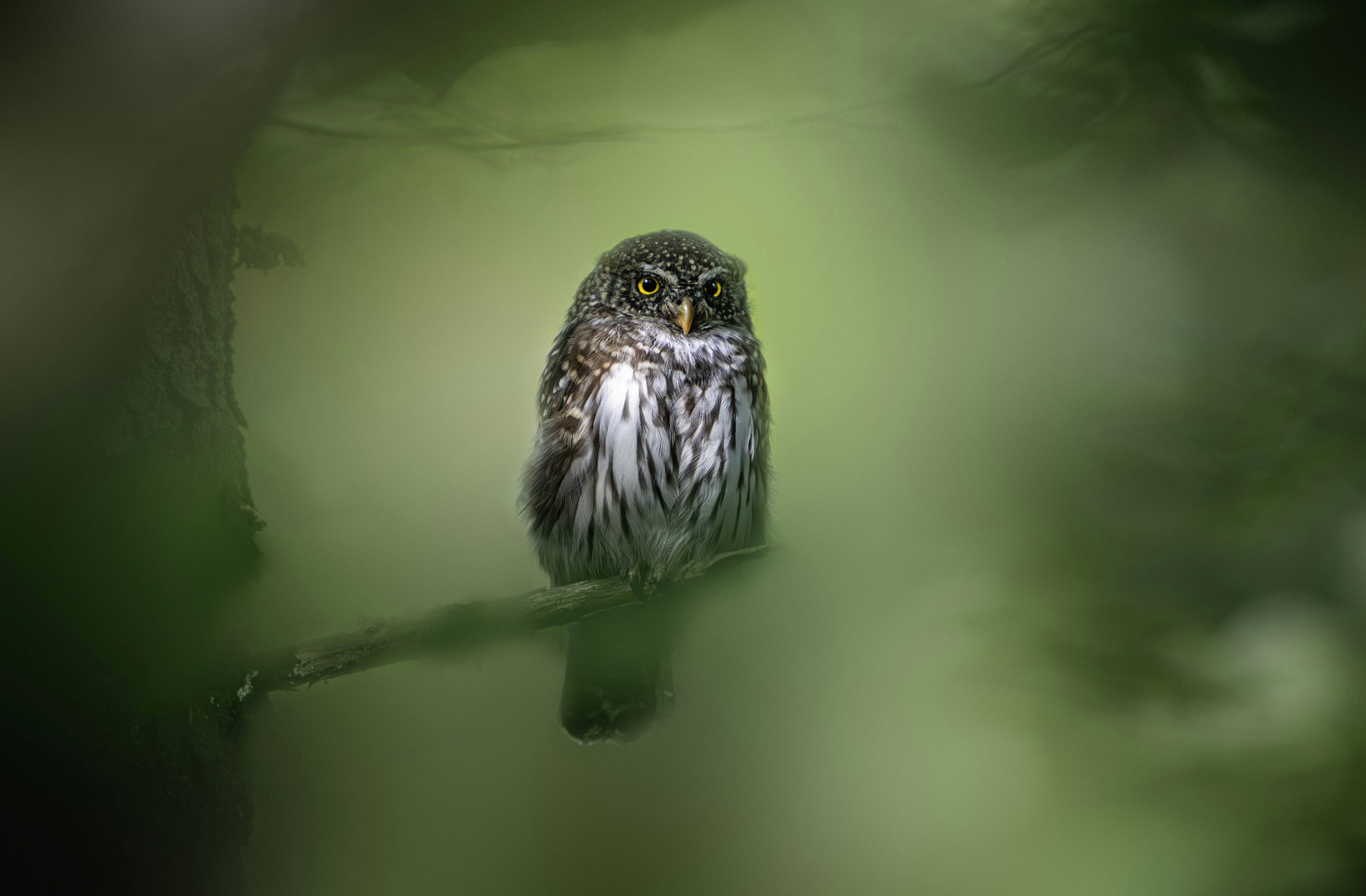 Photo by erik_karits