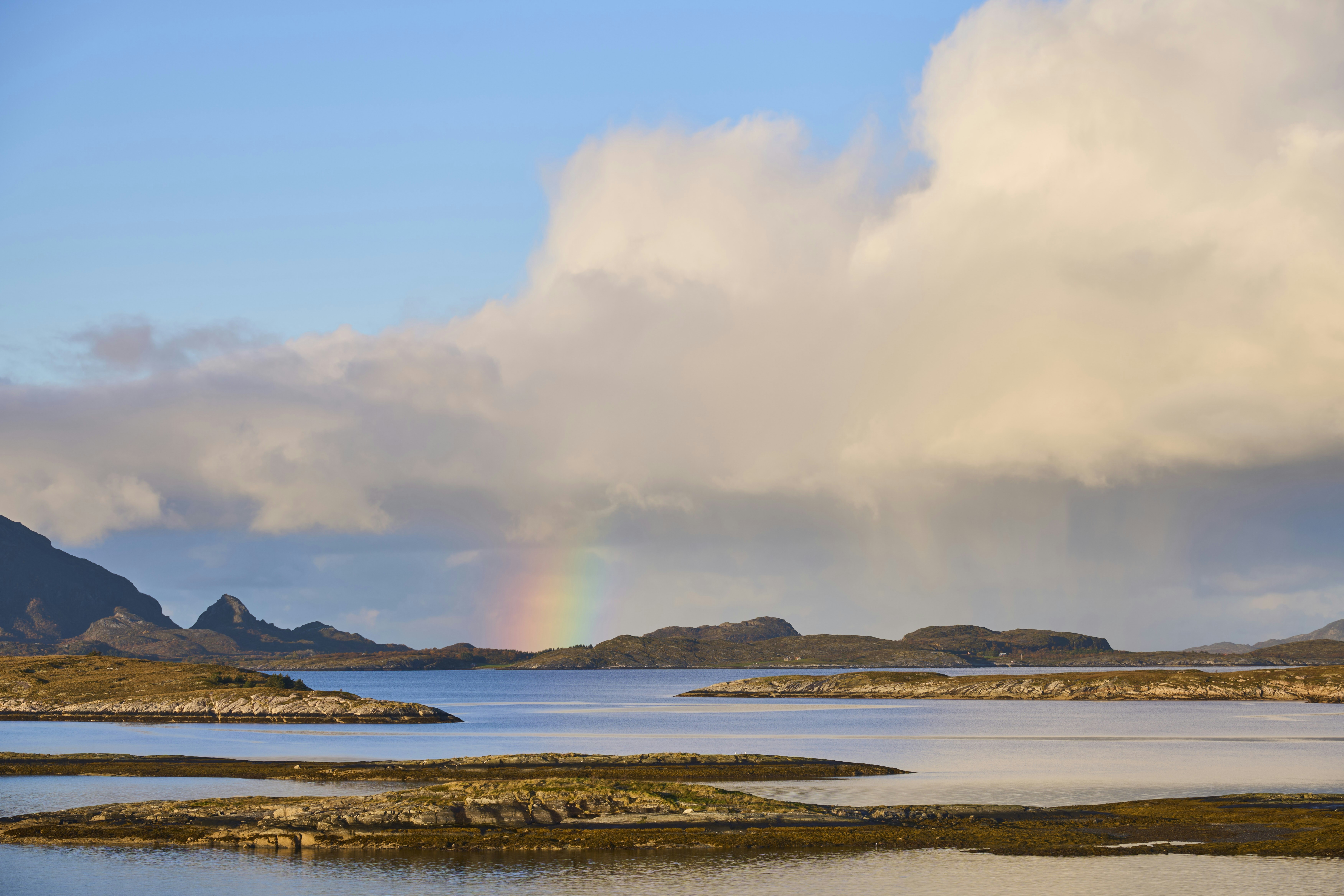 Photo by wolfgang_hasselmann